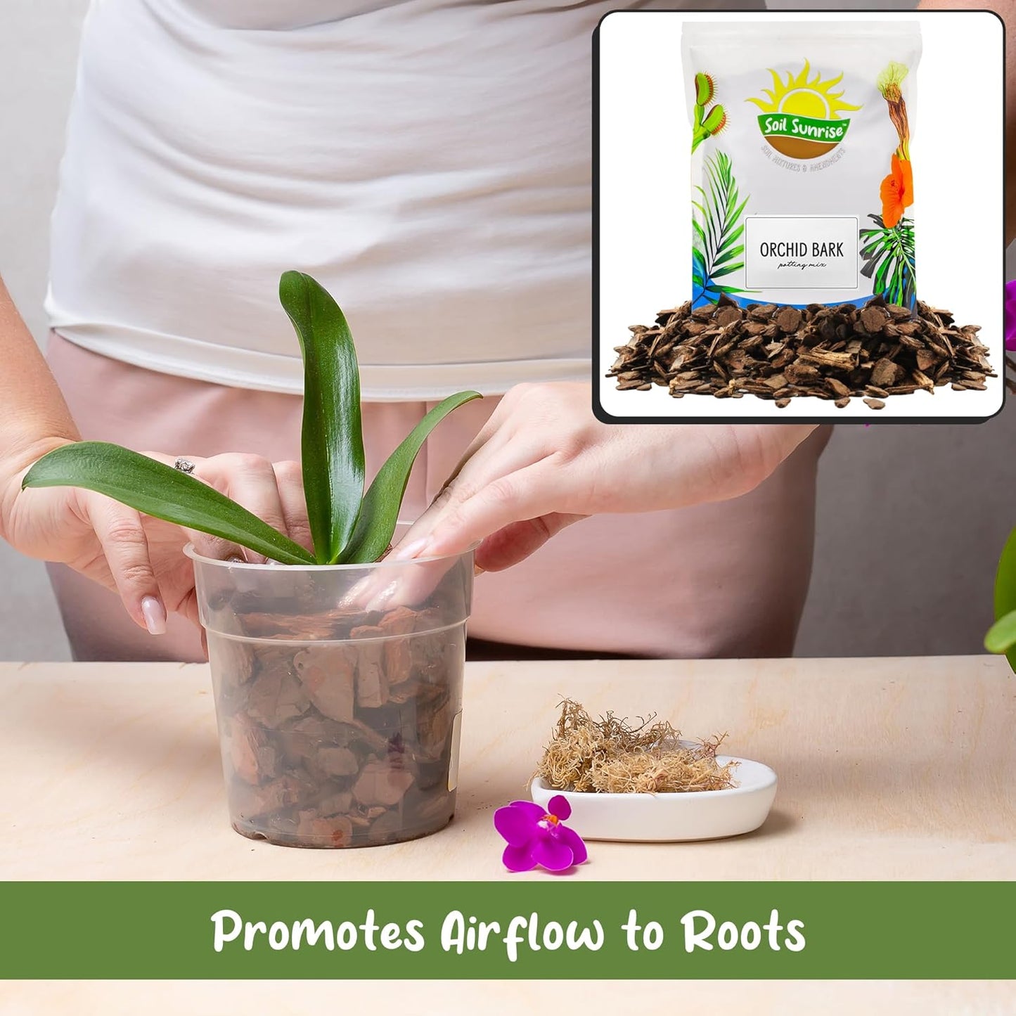 100% Organic Orchid Potting Bark (2 Quarts), All-Natural USA-Sourced Pine Bark Orchid Mix Additive