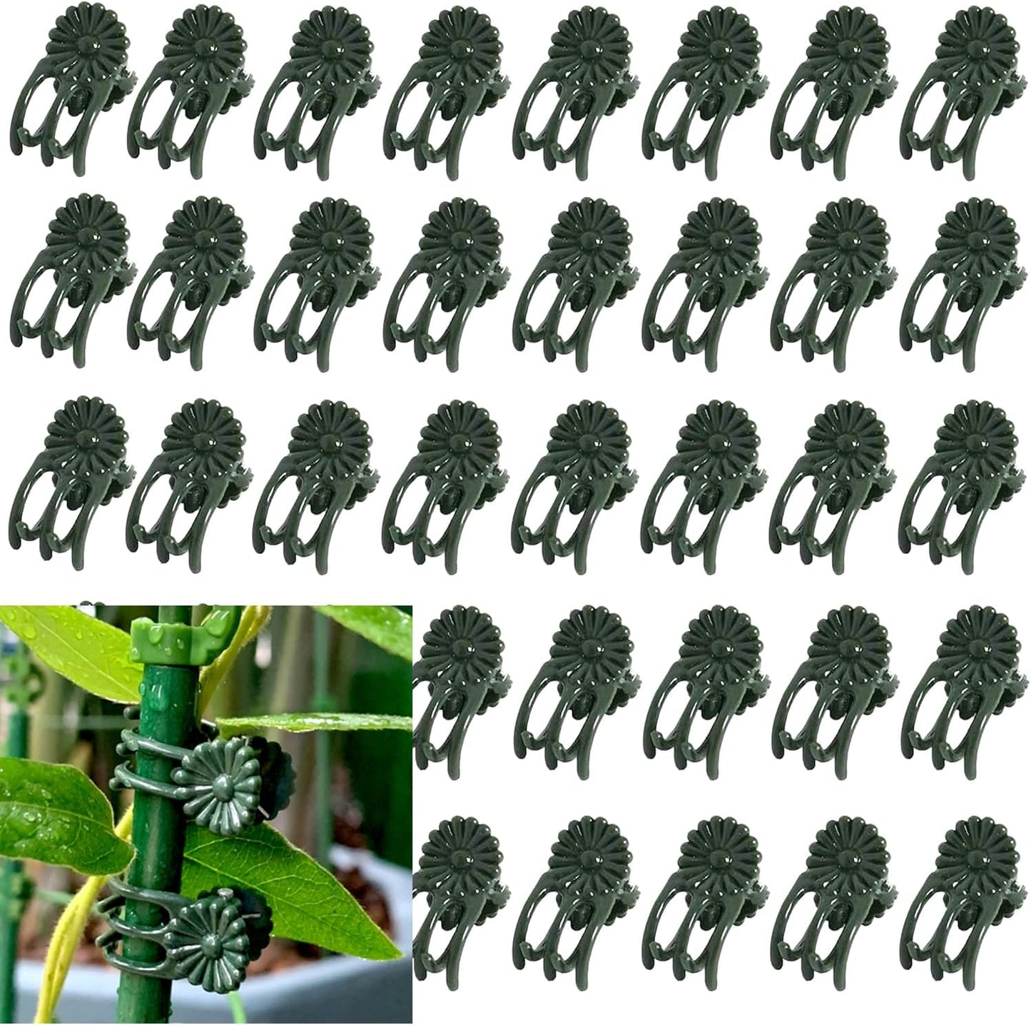 100Pcs Large Plant Clip,Daisy Garden Flower Plant Clip,for Orchids Vine Clip Support Stem Vine Upright Growth (Green)