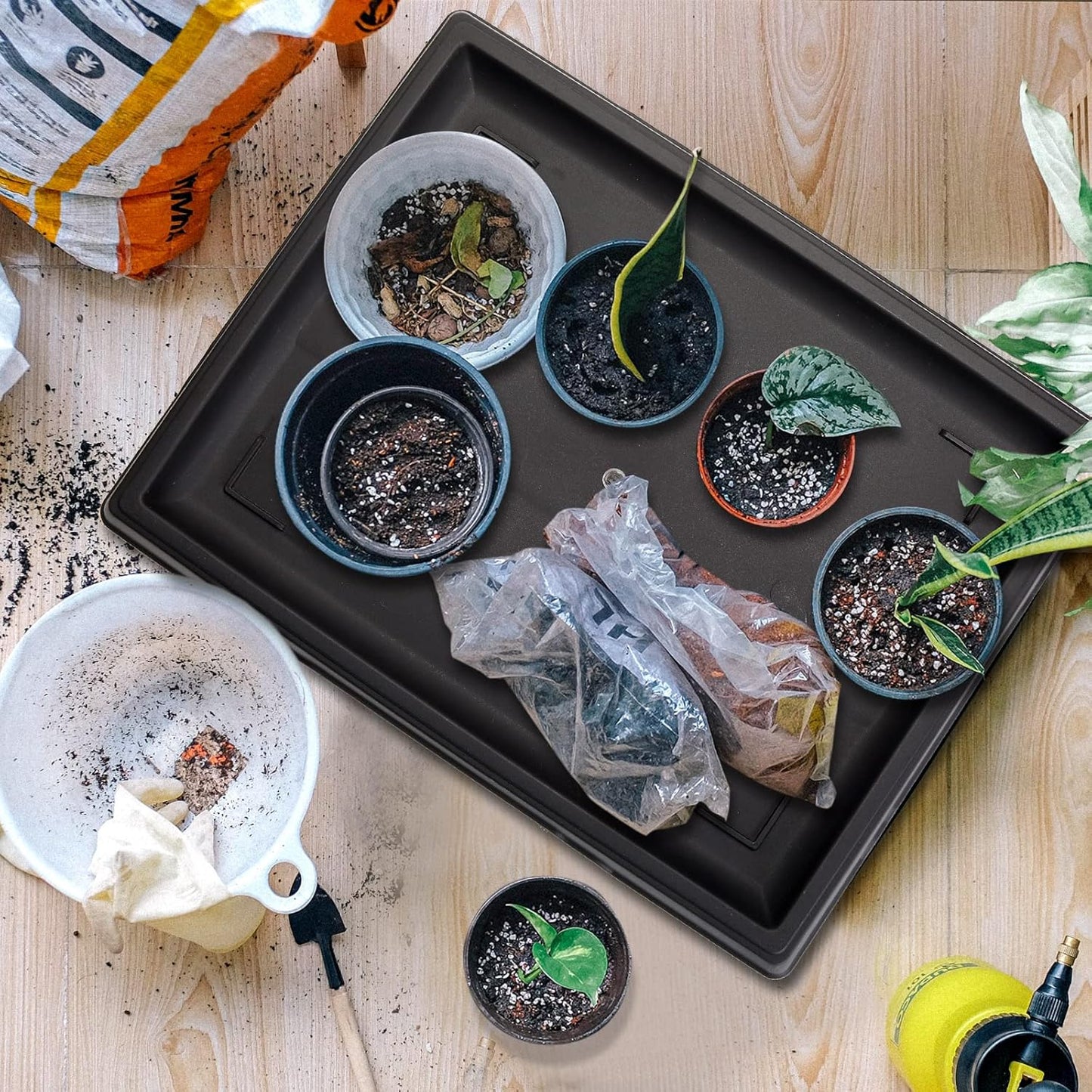 Pinkunn 2 Pcs Bonsai Humidity Tray Drip Tray Plastic Plant Water Catcher Plant Saucers for Indoors and Outdoors Cactus,Succulents,Bonsai Tree,Stone Not Included (15.7 x 13 Inch)