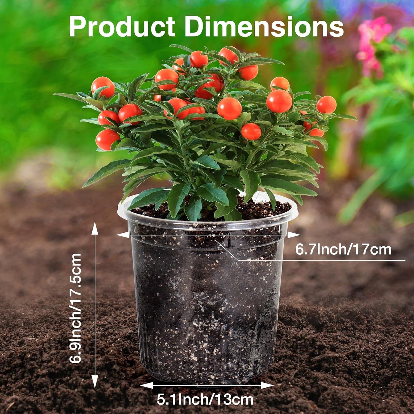 Bonviee 20 Packs 6.7 Inch Clear Nursery Pots, 1 Gallon Plastic Seedling Pots with Drainage Holes, Planters for Indoor Plants and Small Seed Starters, High Transparency Flower Pots with 10 Plant Labels