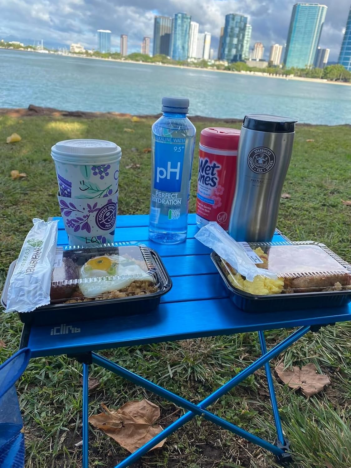 iClimb Ultralight Compact Camping Folding Table with Carry Bag (Blue - L)