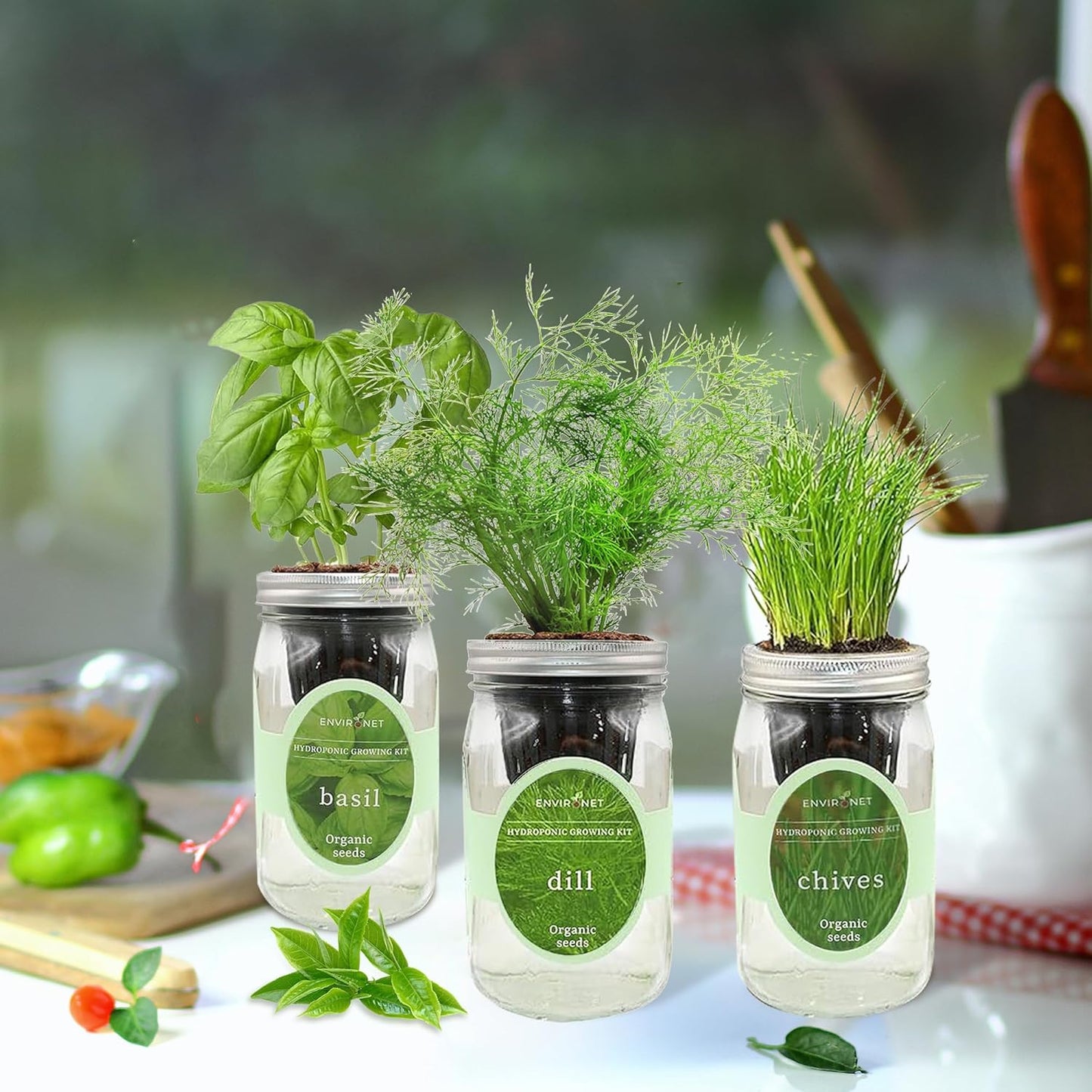 Hydroponic Herb Growing Kit Set, Self-Watering Mason Jar Herb Garden Starter Kit Indoor, Windowsill Herbs Garden, Grow Your Own Herbs from Organic Seeds (Basil, Dill, Chives)