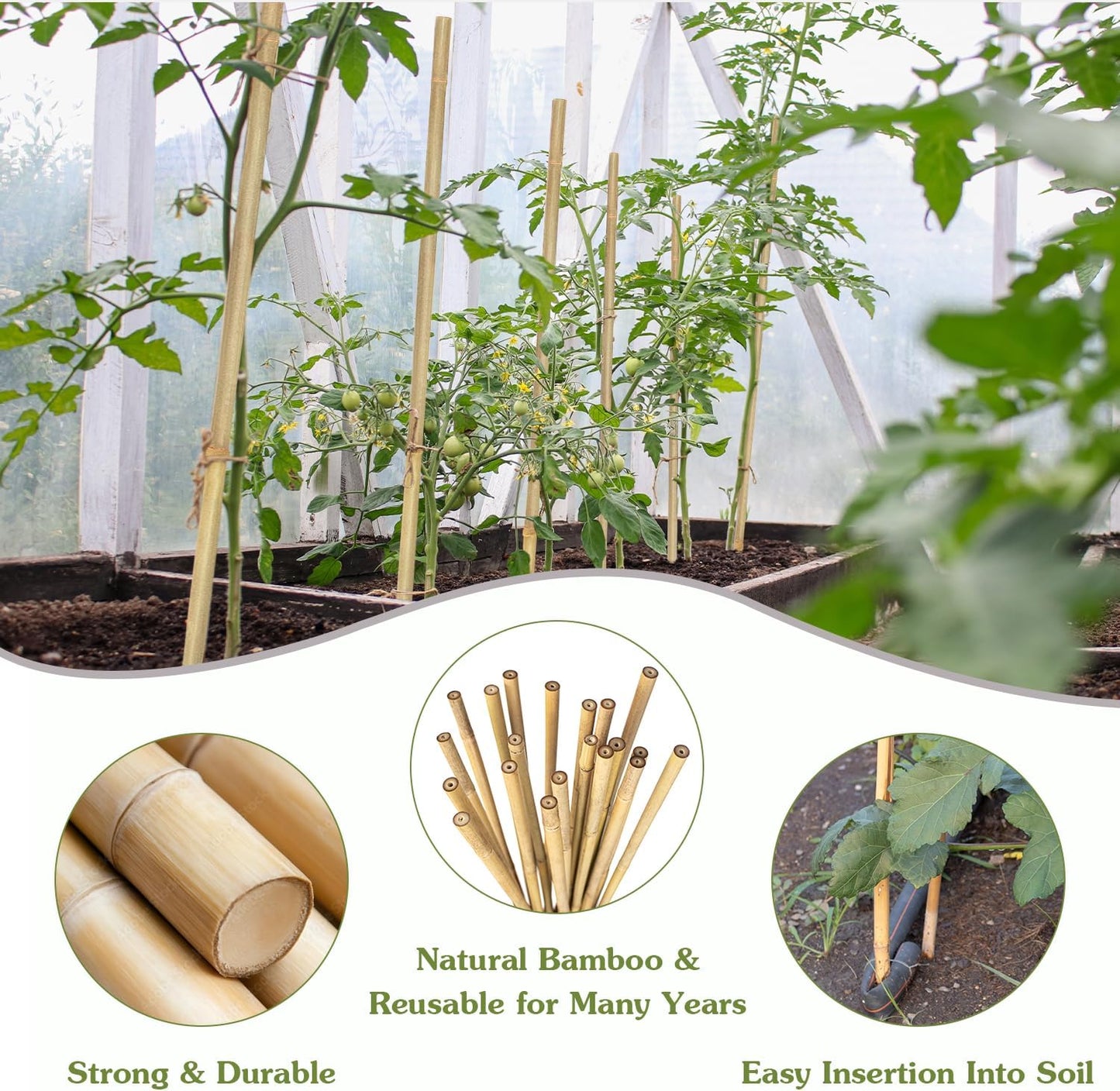 Plant Stakes 18inch, 20Pcs Natural Bamboo Sticks Garden Stakes, HAINANSTRY Plant Support Stakes for Indoor & Outdoor Plants, Orchid Tomato Vegetable Stakes for Garden