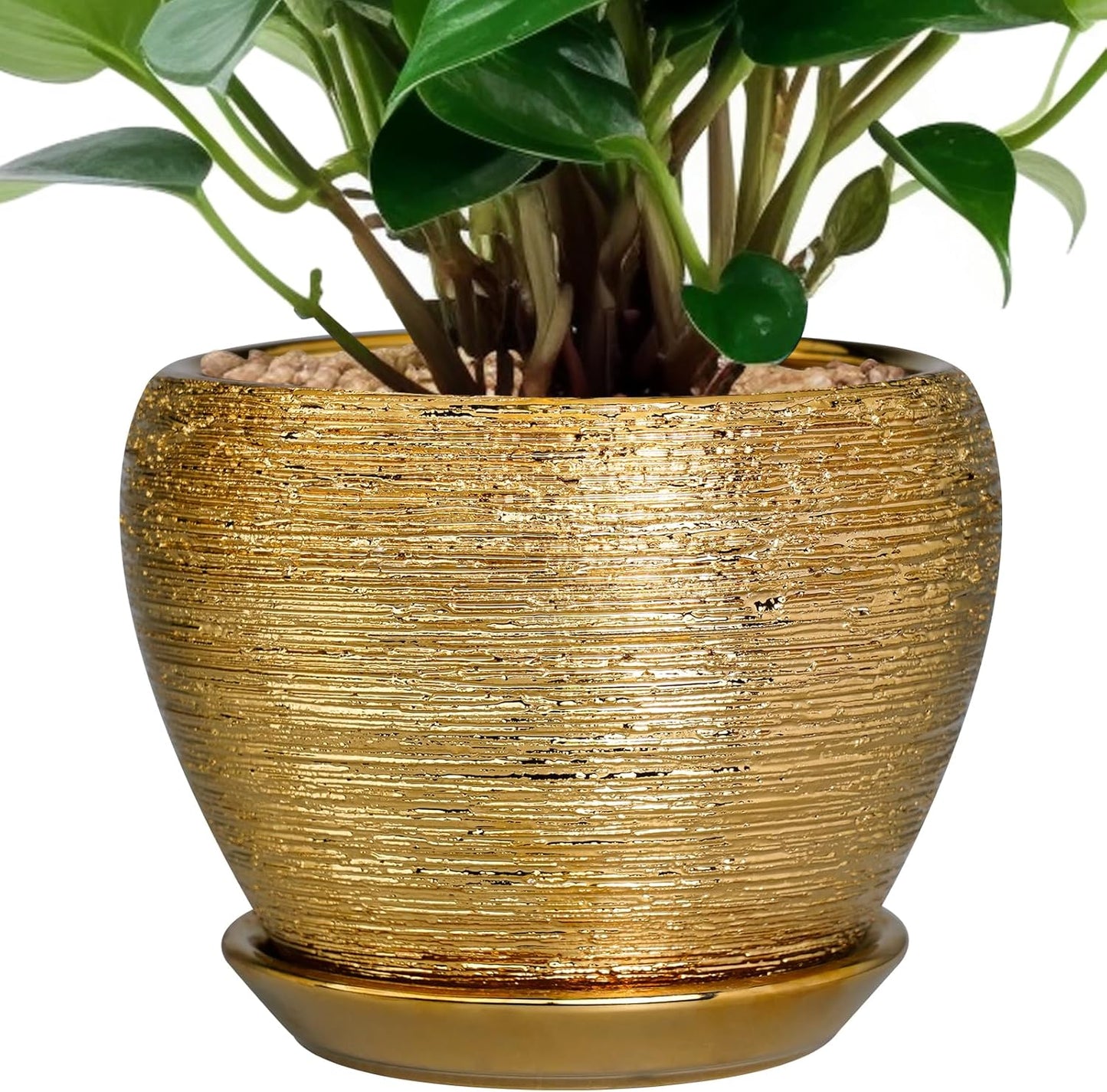 Indoor Plant Pot 6 Inch - Ceramic Pot for Plants Outdoor Planter with Drainage Hole and Saucer Round Decorative Planter Modern Flower Pot for Home Decor Gold