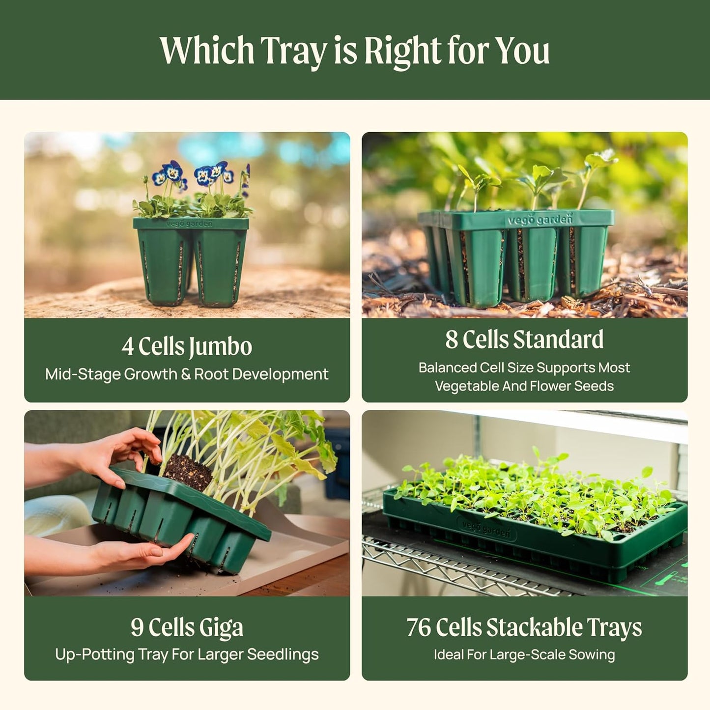 Vego garden Standard Seedling Trays Without Lids, 64 Pack for Seedlings Reusable Propagator Growing Starter Tray, Germination Trays Kit for Greenhouse/Garden (8-Cell per Tray)