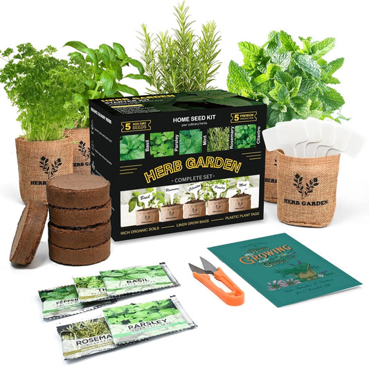 Indoor Herb Garden Starter Kit, 5 Non-GMO Herb Seeds - Basil, Parsley, Rosemary, Thyme, and Mint with Complete Planting Set for Kitchen Herb Garden DIY