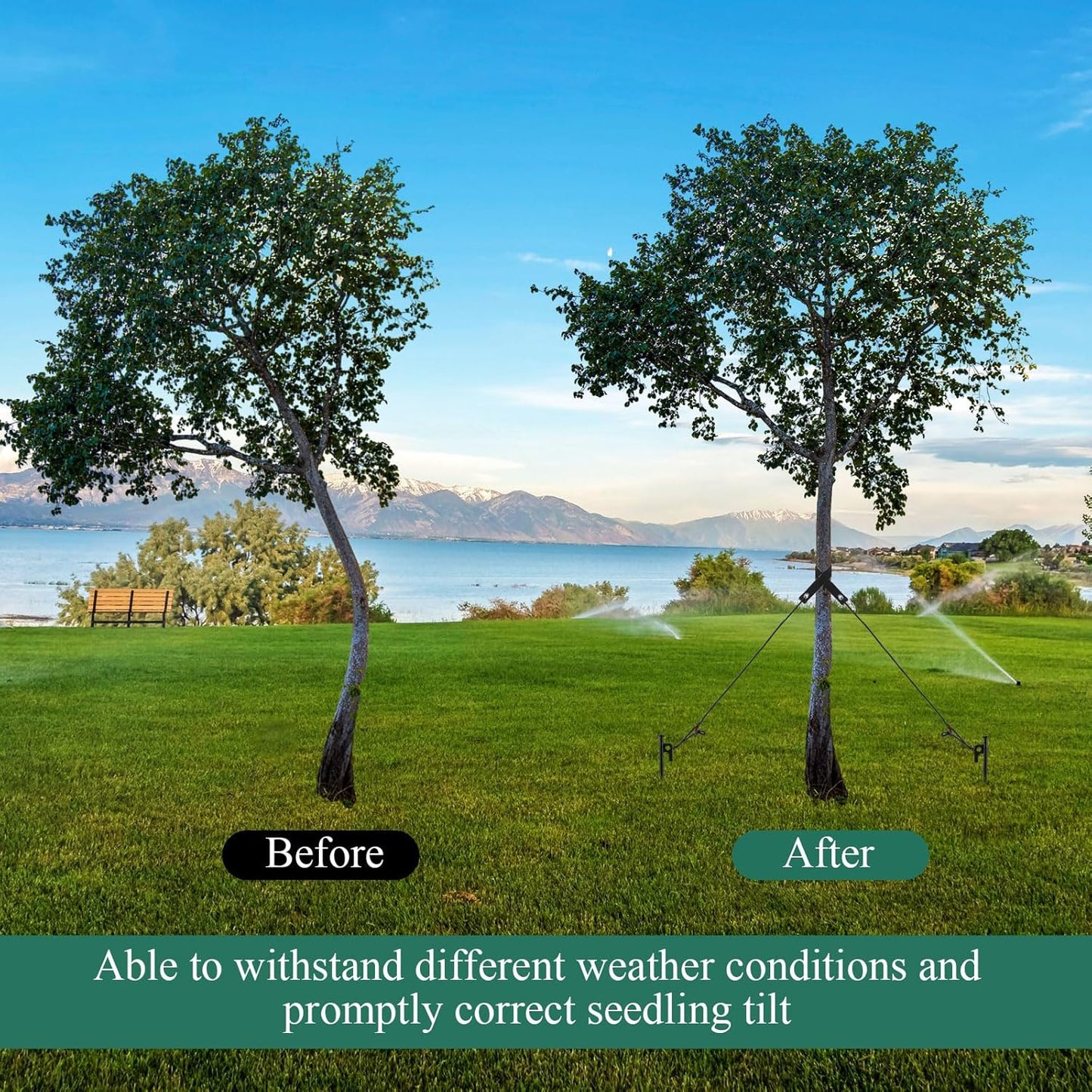 Suzile 120 Pcs Tree Stake Kit, Heavy Duty Tree Staking and Supports for Leaning Trees Include 11. 8'' Steel Stakes 15. 8'' Support Straps 13. 12 ft Ropes for Anchoring Hurricane Protection (Black)