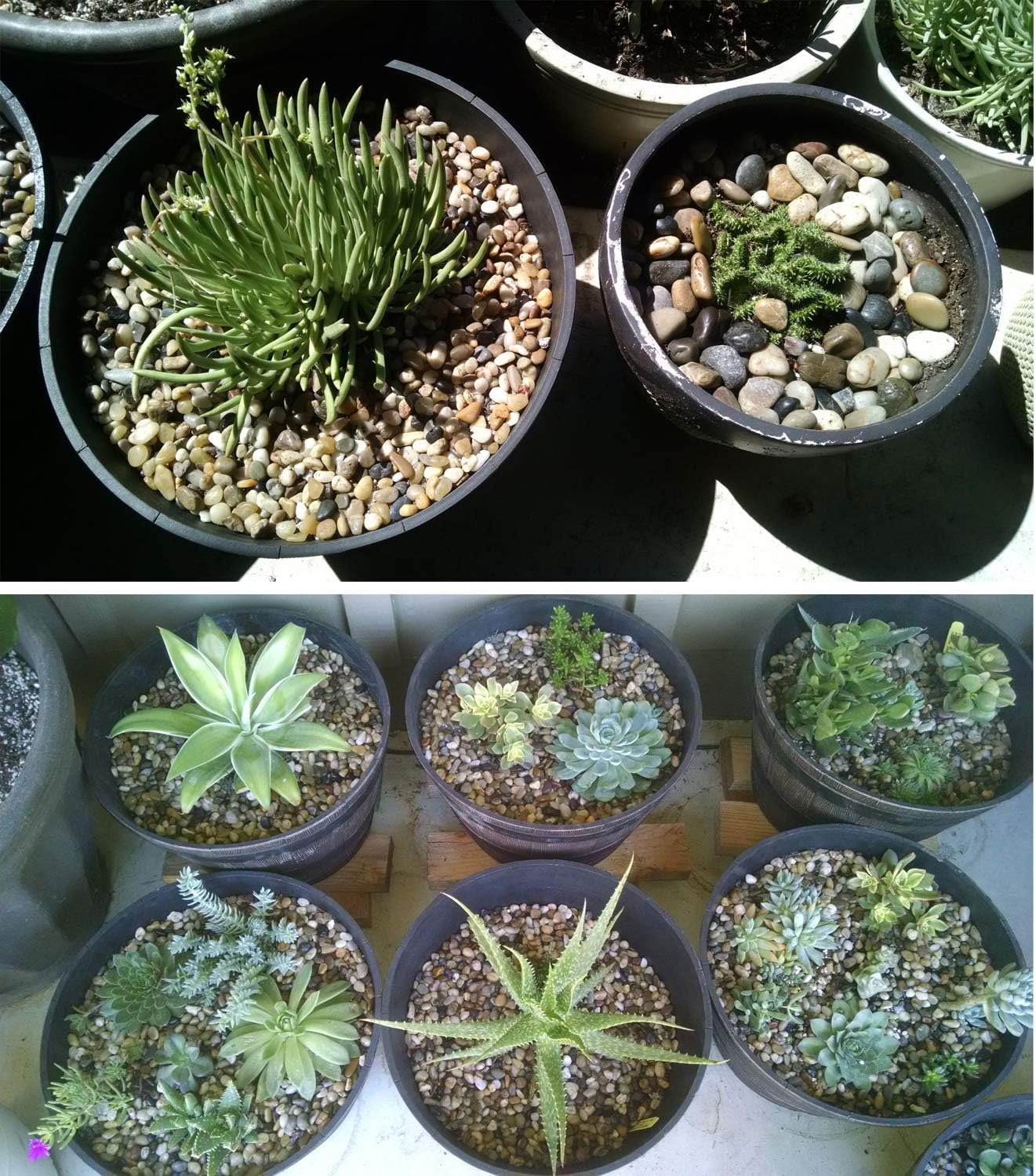 Voulosimi River Rock Stones, Natural Decorative Polished Mixed Pebbles Gravel,Outdoor Decorative Stones for Plant Aquariums, Landscaping, Vase Fillers (5 LB, Mixed Colors)