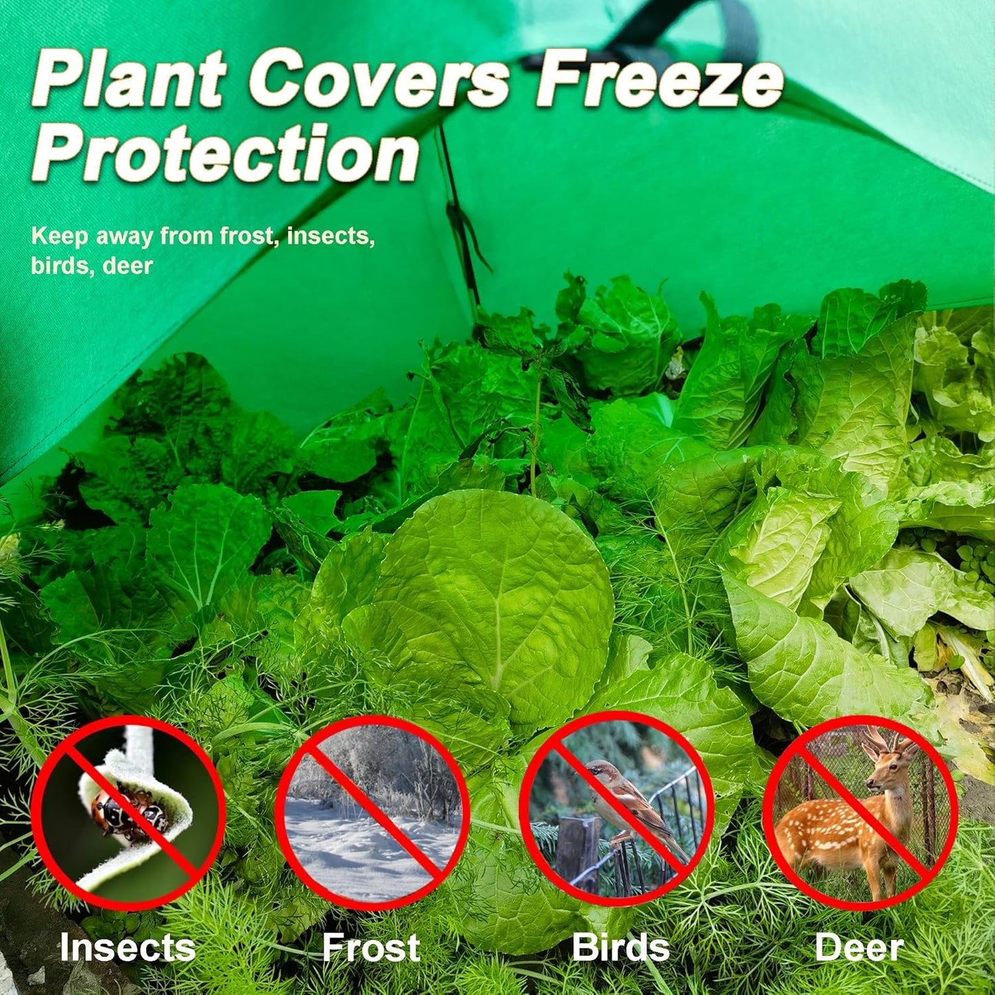 36″*36″*35.5″, Winter Plant Warm Covers - Raised Bed Cover, Garden Row Accelerator, Warm Tent Freeze Protection Humidity Domes for Germination, Seedling Propagation Protecting Plants from Animals 2PCS