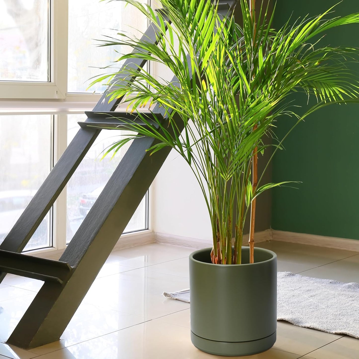 D'vine Dev 10 Inch Ceramic Planter Pot with Drainage Hole and Saucer, Indoor Cylinder Round Planter Pot, Olive, 94-O-E-J