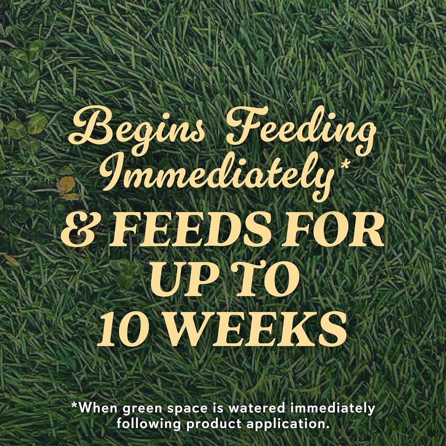 O.M. Scott and Sons Natural Grass Food, Food for Lawns, Fertilizes for up to 10 Weeks, Covers up to 2,000 sq. ft., 12.72 lbs., 2-Pack