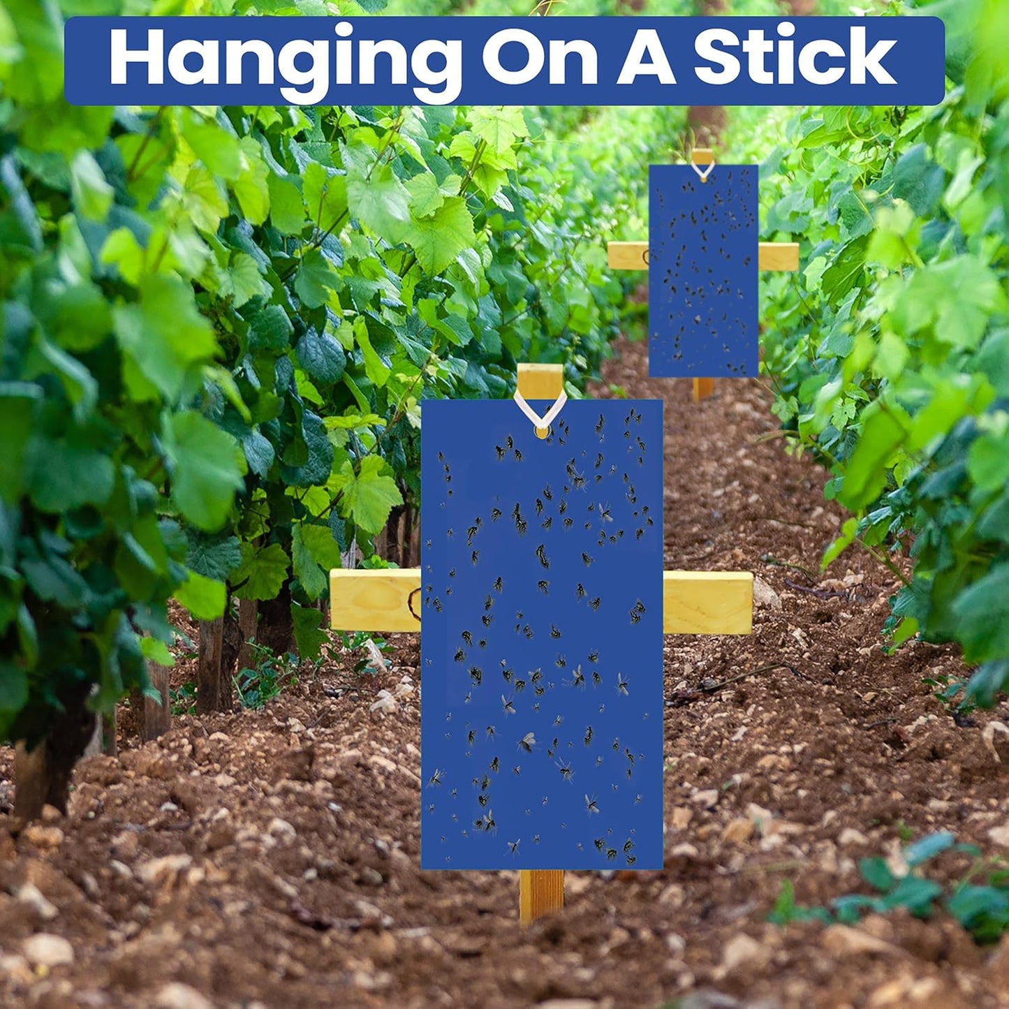 Qualirey 100 Pcs 7.87 x 3.9 Inch Sticky Traps for Plant Double Sided Sticky Trap for Gnats with Twist Ties Fly Traps for Fruit Insect Fungus Bugs Indoor Outdoor(Blue)