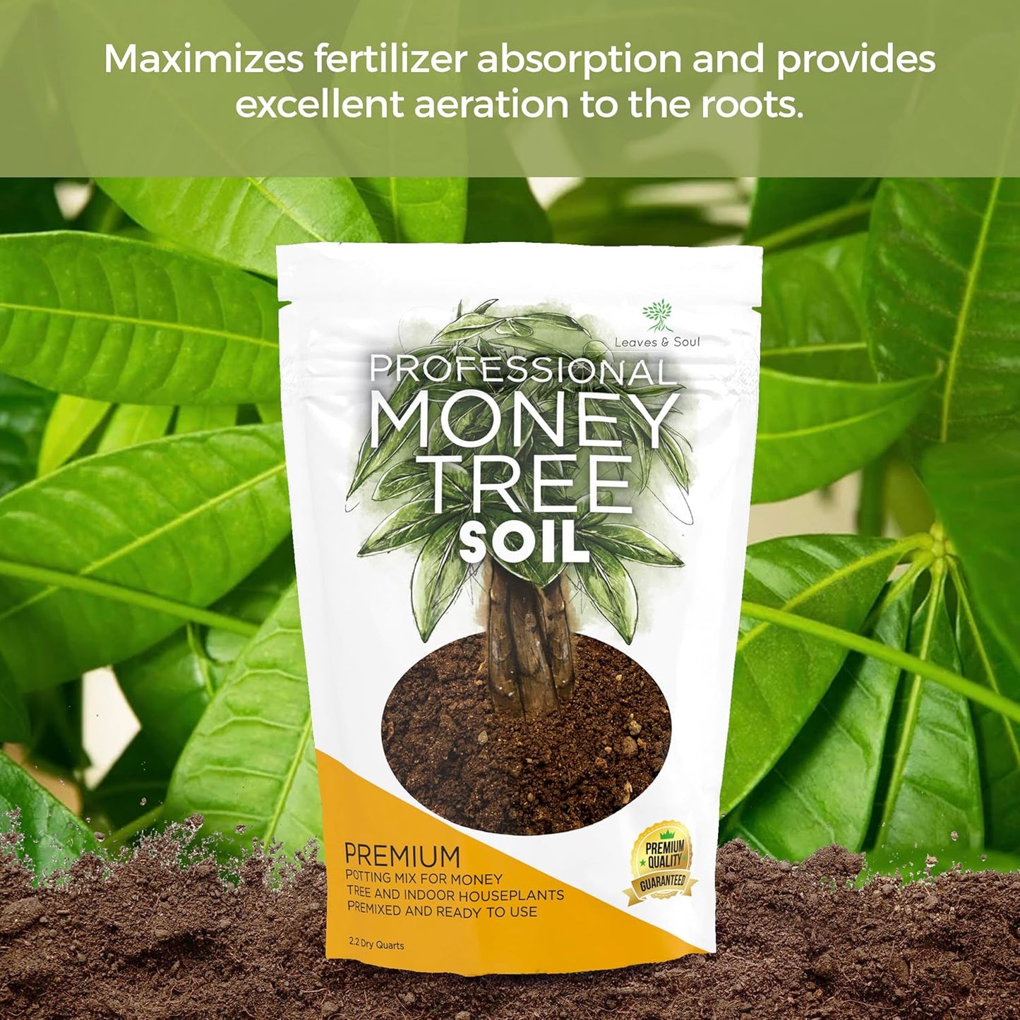Professional Money Tree Soil | Large 2.2 Quarts Ready to Use for Money Tree Plants | Peat Moss, Coco Coir, Perlite, Dolomite | Made in USA