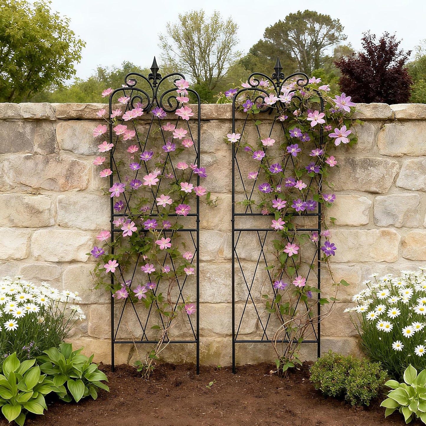 Garden Trellis for Climbing Plants 59inch x15inch Rustproof Metal Vine Trellises for Outdoor Climbing Plants Support Structures A (150cm) 2Pack