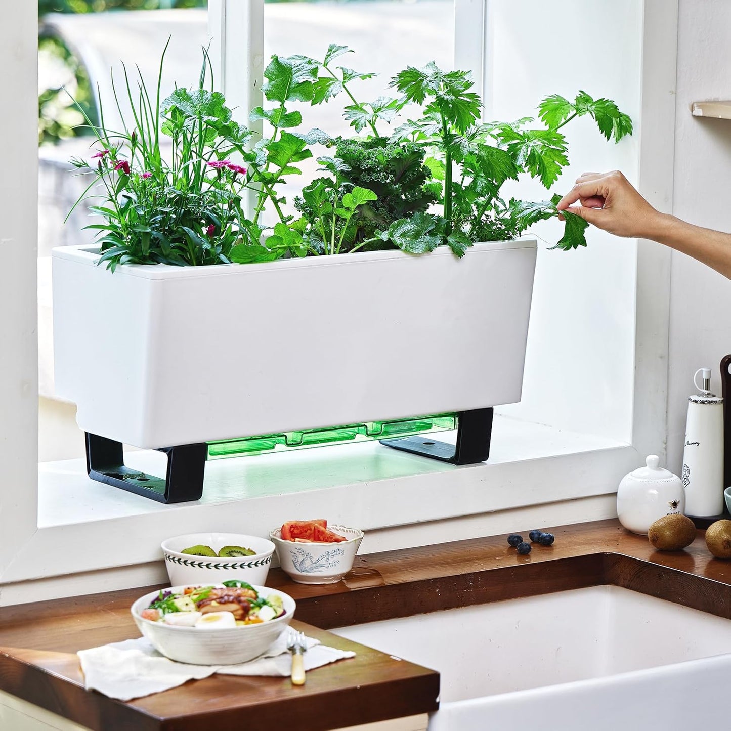 Glowpear Self-Watering Mini Bench Planter - 23.6" in Pot, Free Standing, UV Stable, Scalable, Indoor | Outdoor Pot with Water Gauge, for Home Kitchen Windowsill Gardening