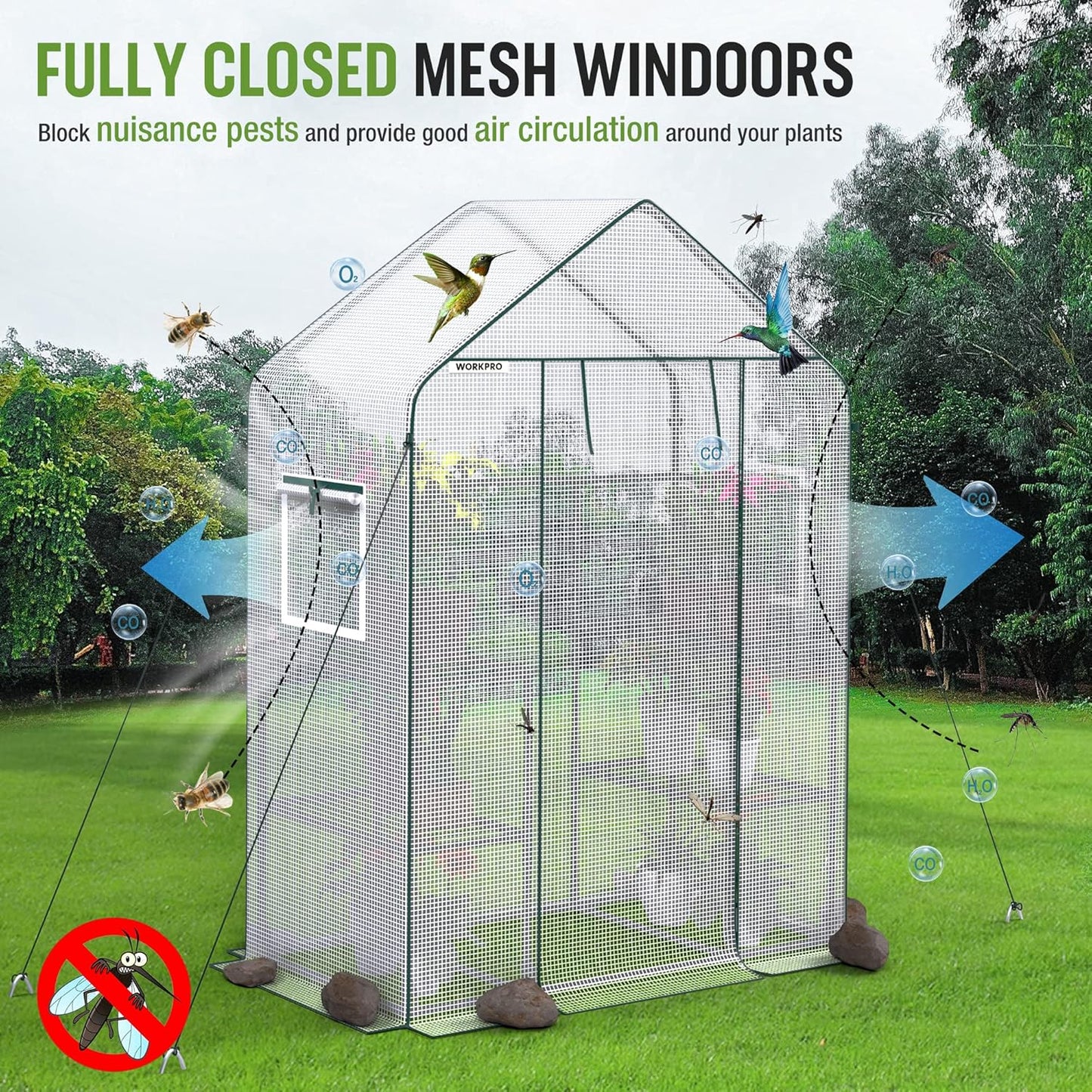 WORKPRO Greenhouse, 56"X 28" X 77" Portable Small Greenhouses for Outdoors & Indoors, Sturdy Green House Kit with Thicken PE Cover, Windows, 3 Tier 4 Shelves for Patio, Backyard, Balcony