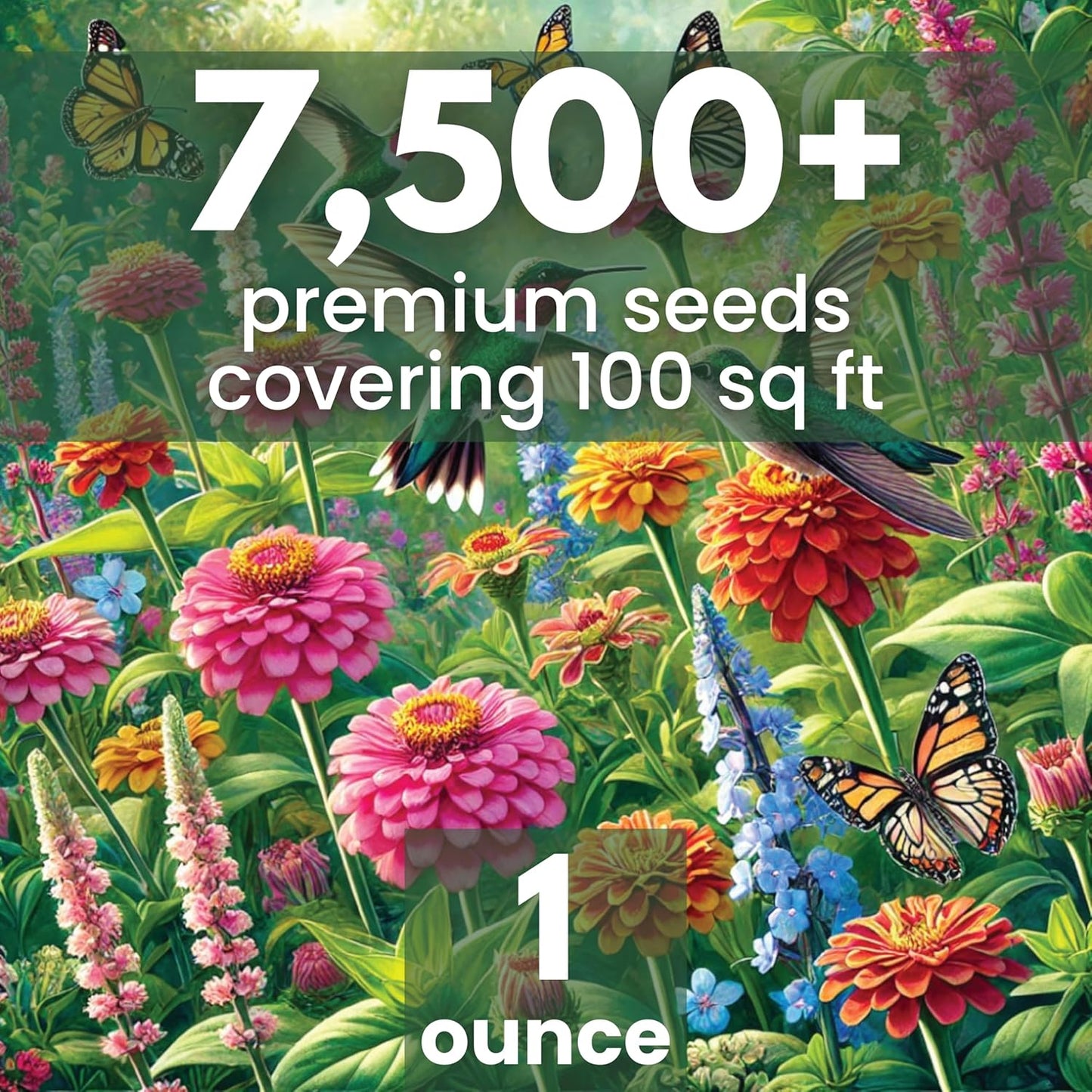 Hummingbird Butterfly Mix - Large 1 Ounce Packet - 7,500 Flower Seeds for Planting - Wildflower Mix