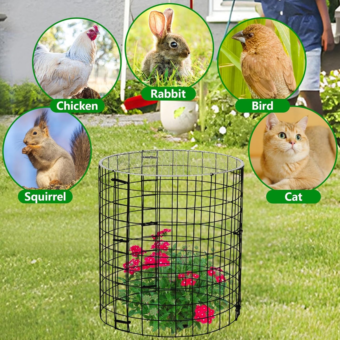 Adnee 8 Pack Wire Plant Protector with Cover-12" x 11" Detachable Plant Protector Metal Plant Cages-Garden Plant Cages for Flower Vegetable to Keep Animals Out