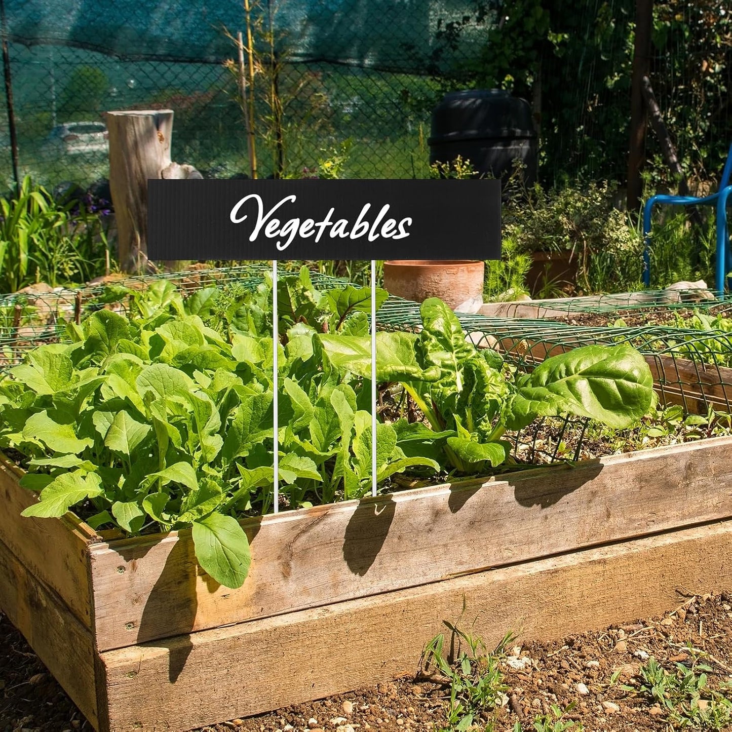 10 Set Jumbo Outdoor Plant Label Stakes Waterproof Nursery Garden Markers Plastic T Type Plant Tag Identification Stake with Marker Pen for Herb Vegetable Flowers, 12" High (Black)