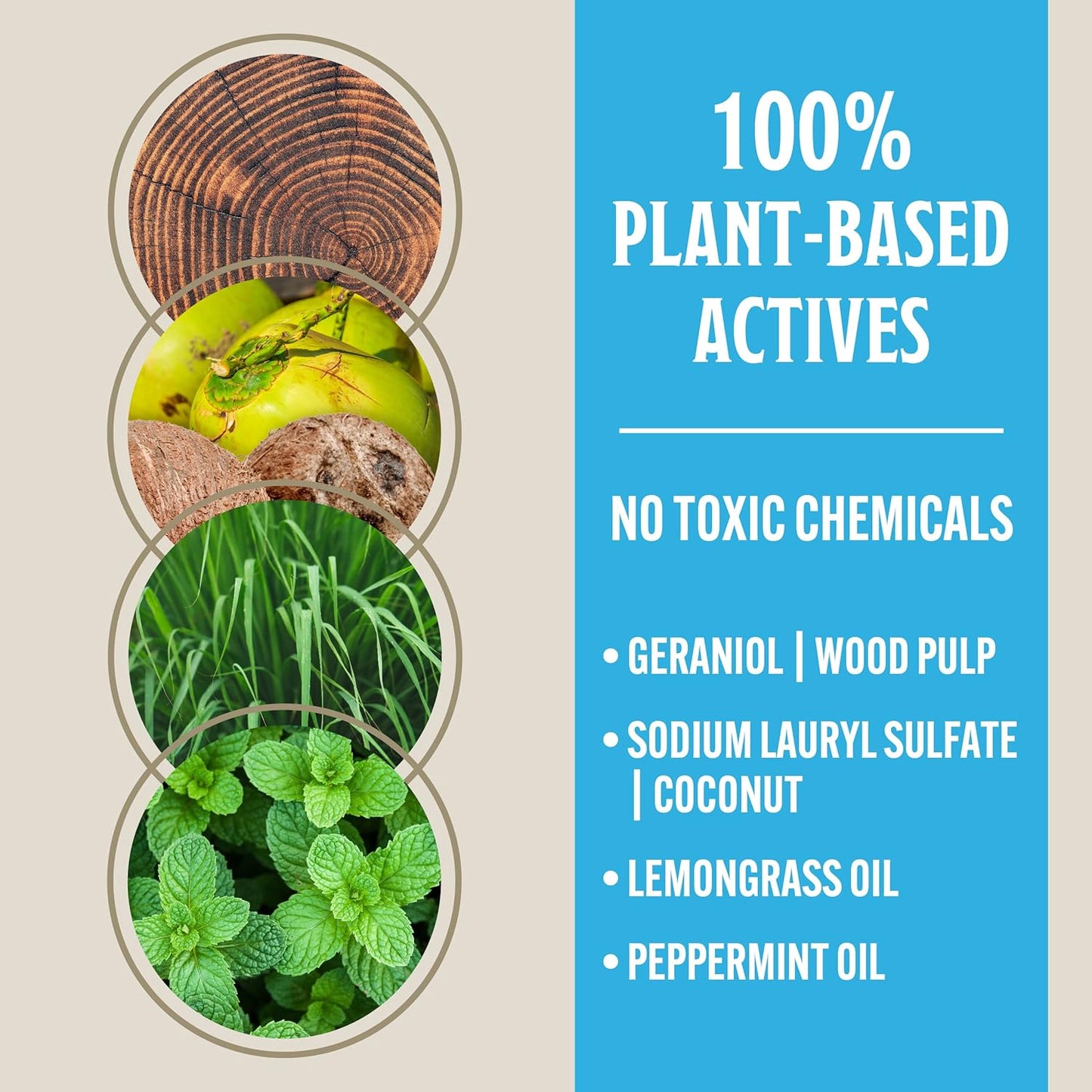 Grandpa Gus's Natural Mosquito Repellent Spray, Time-Release Plant-Based Actives, Non-Greasy, No Stains, DEET-Free, 4 oz (Pack of 2)