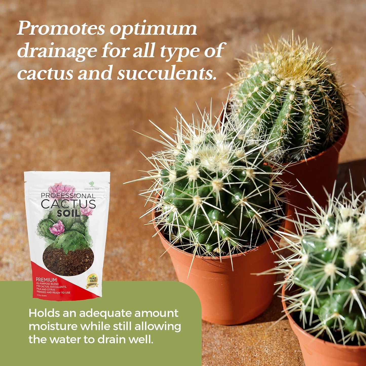 Professional Cactus Soil | Large 2.2 Quarts Ready to Use for Cactus Plants | Peat Moss, Coco Coir, Perlite, Dolomite | Made in USA