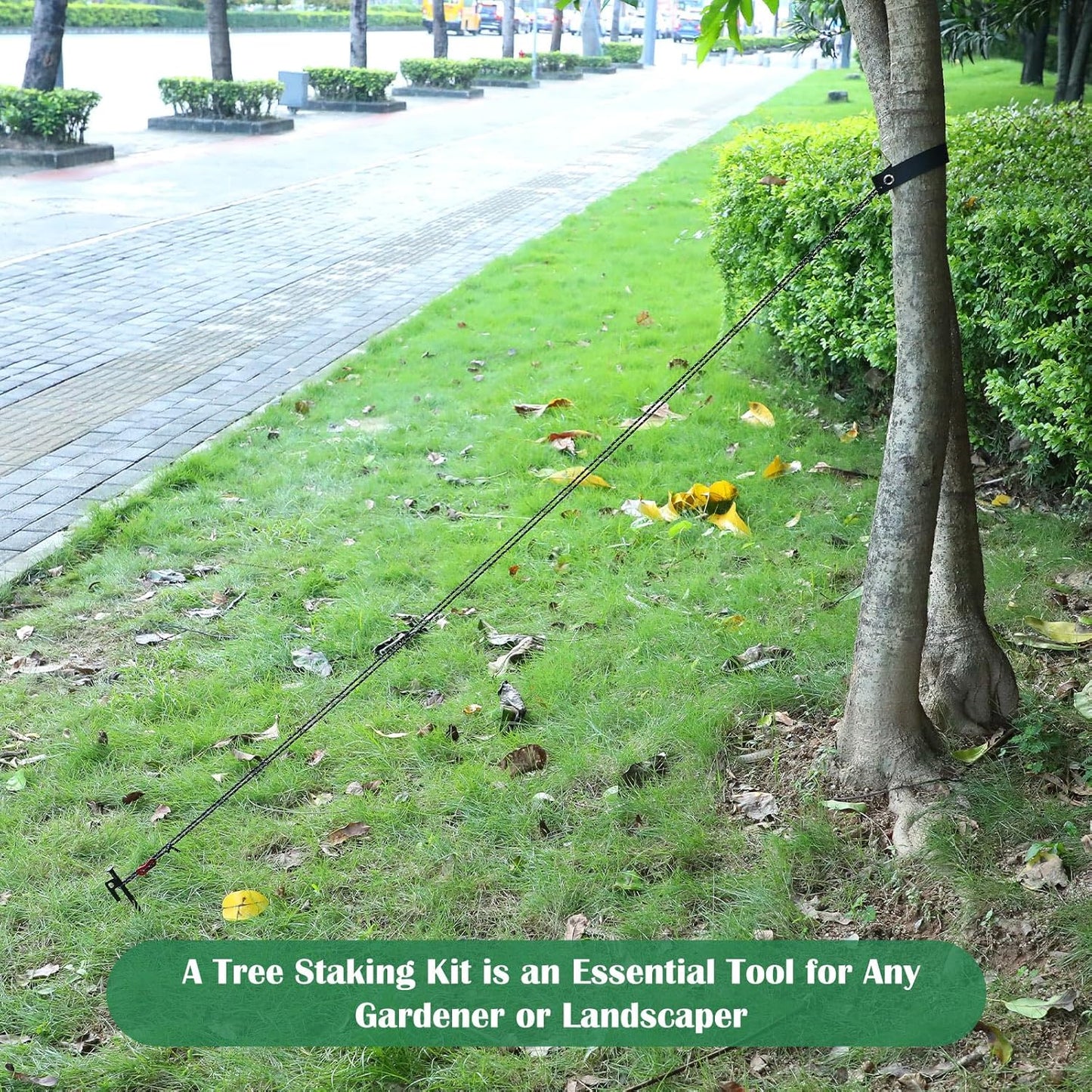 Suzile 60 Pcs Tree Stake Kit, Heavy Duty Tree Staking and Supports for Leaning Trees Include 11. 8'' Steel Stakes 15. 8'' Support Straps 13. 12 ft Ropes for Anchoring Hurricane Protection (Black)