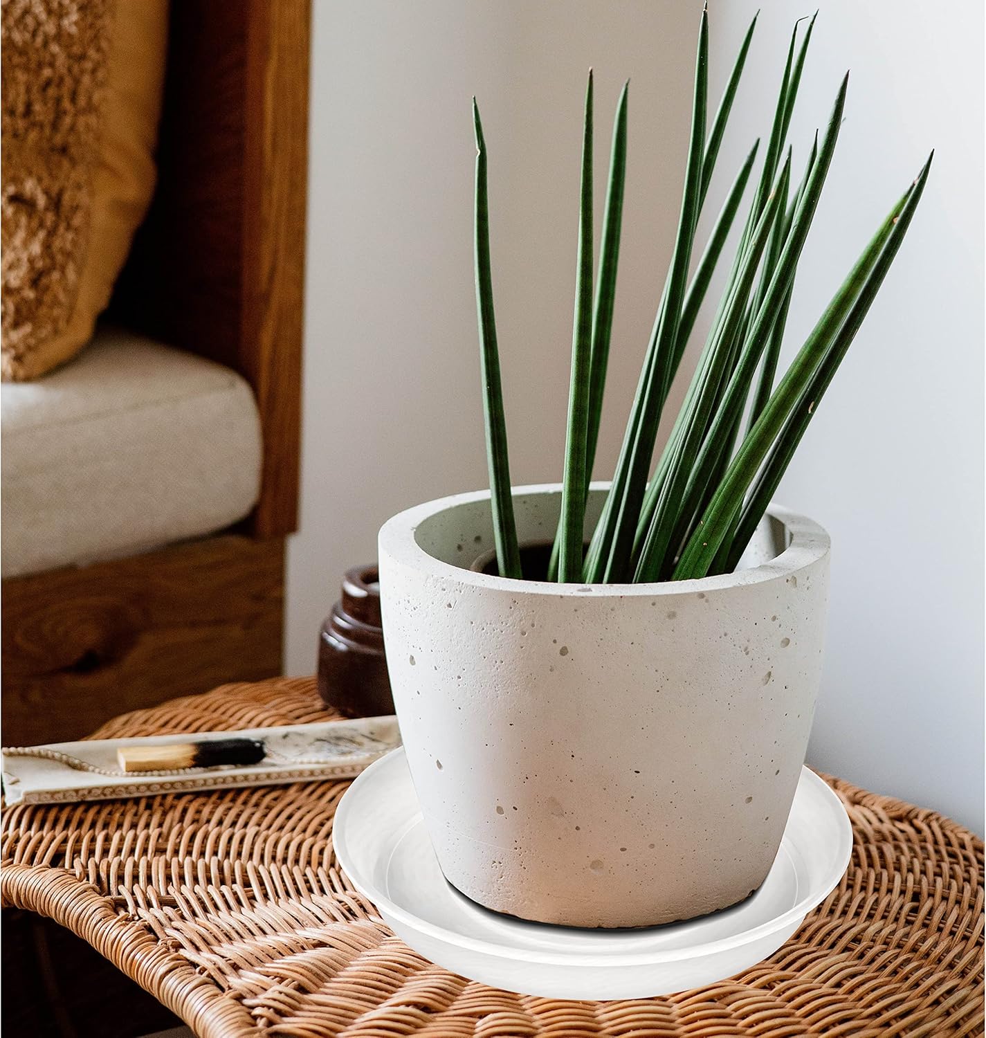 6 Pack Plastic Plant Saucer Water Drip Tray, 4 5 6 7 8 9 10 11 12 inch, Heavy Sturdy Plant Drainage Tray for Indoors Outdoor, Flower Saucers for Pots Base (4", Clear)