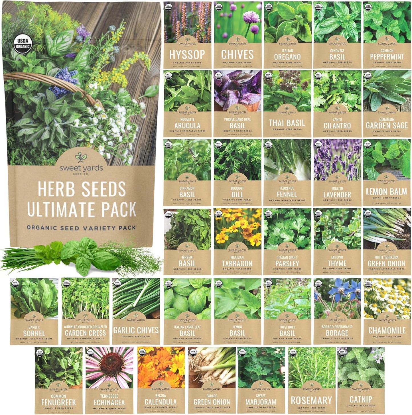 Organic Herb Seeds Variety Pack - 35 Individual Packs - 2025 Season - Basil, Cilantro, Dill, Thyme, Parsley and More! for Indoor & Outdoor Planting (Non-GMO, Certified Organic)