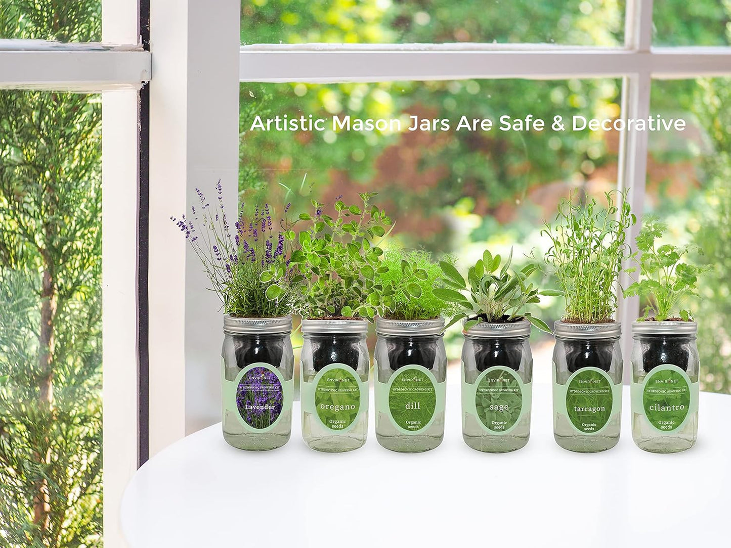 Hydroponic Herb Growing Kit Set, Self-Watering Mason Jar Herb Garden Starter Kit Indoor, Windowsill Herbs Garden, Grow Your Own Herbs from Organic Seeds (Mint, Cilantro and Parsley)