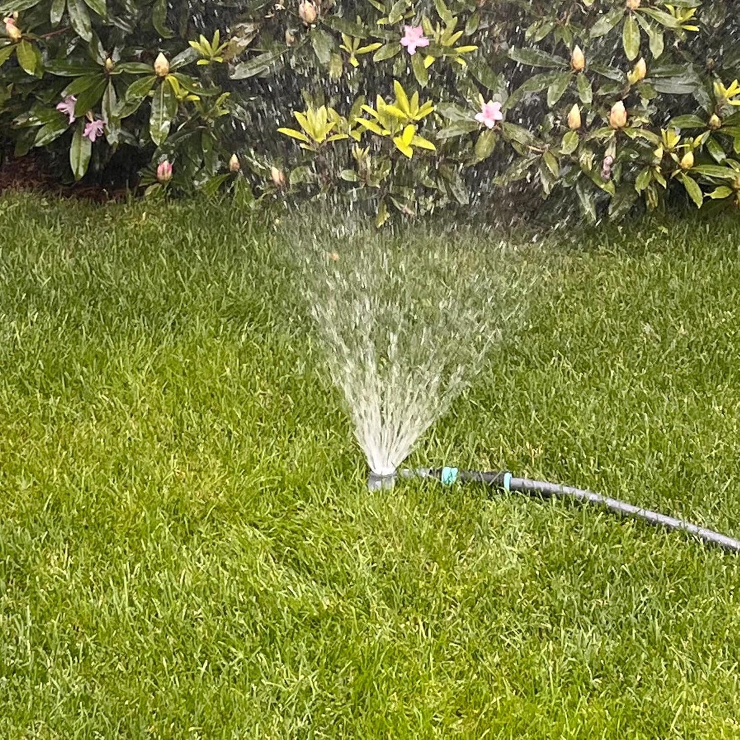 Spot Watering Sprinkler 400003, Covers Over 30 Ft Diameter, All Metal, Single Pattern by New England Garden Tools