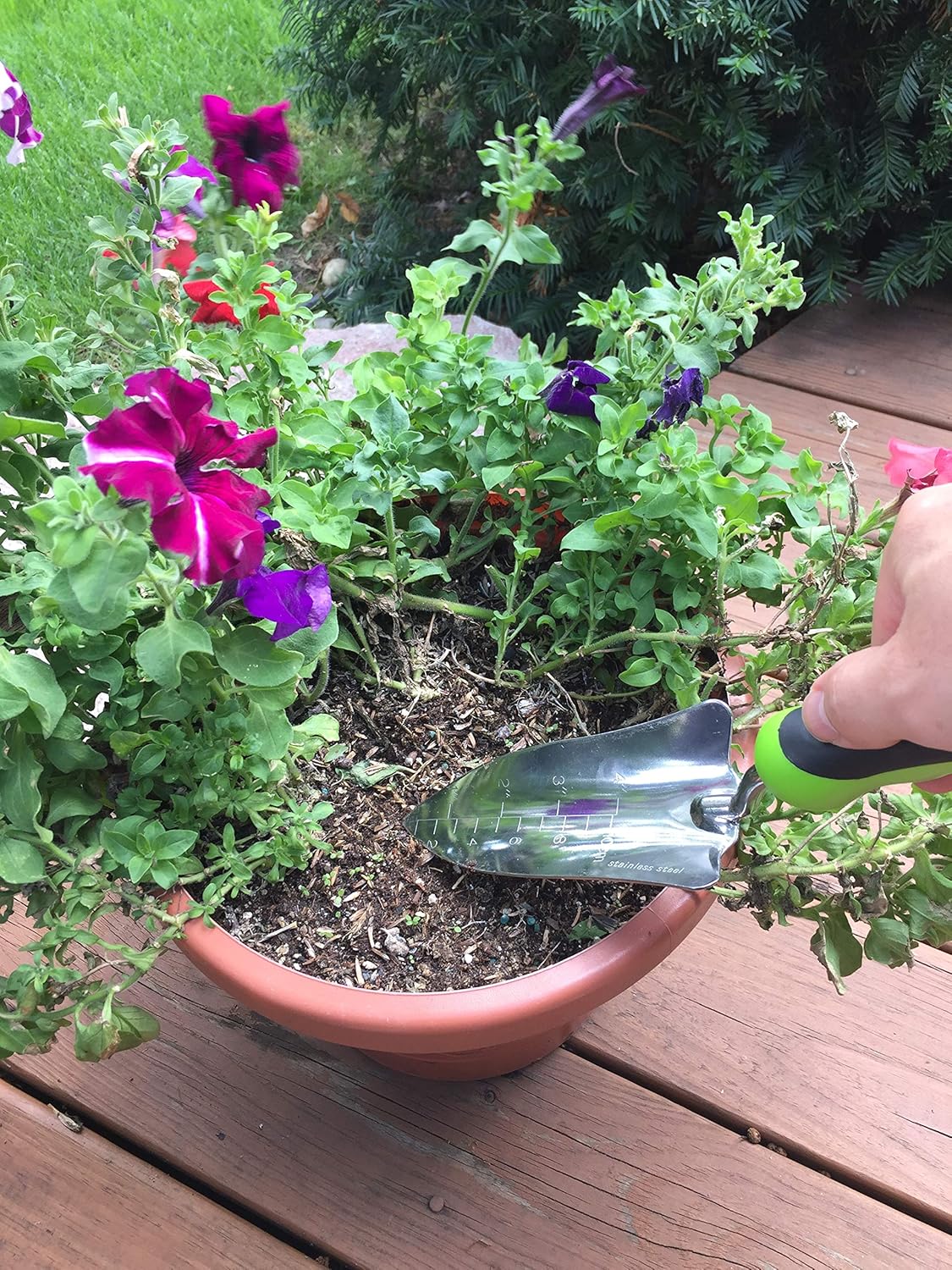 Garden Guru Transplanter Trowel Shovel - Stainless Steel - Rust Resistant - Ergonomic Grip - Perfect Hand Shovel Tool for Gardening Weeding Transplanting and Digging in Garden Beds