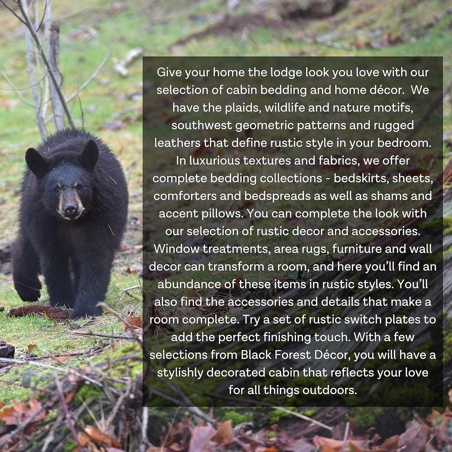 BLACK FOREST DECOR Bear Advice Wood Wall Sign