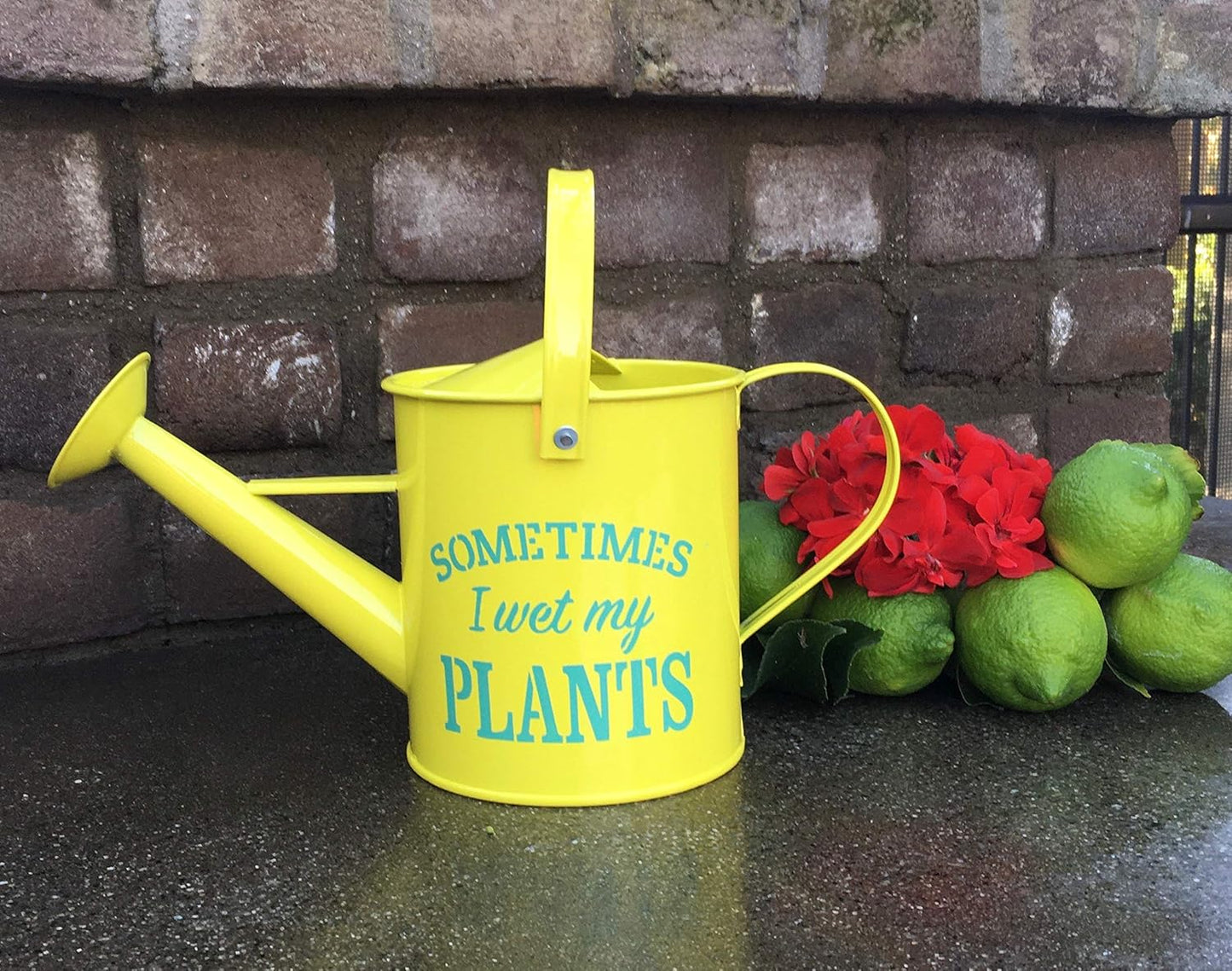 Small Indoor Watering Can - Gardening Gifts for Women -Sometimes I Wet My Plants- 1.6 L - Cute Watering Can for Gardeners - Yellow Galvanized Metal