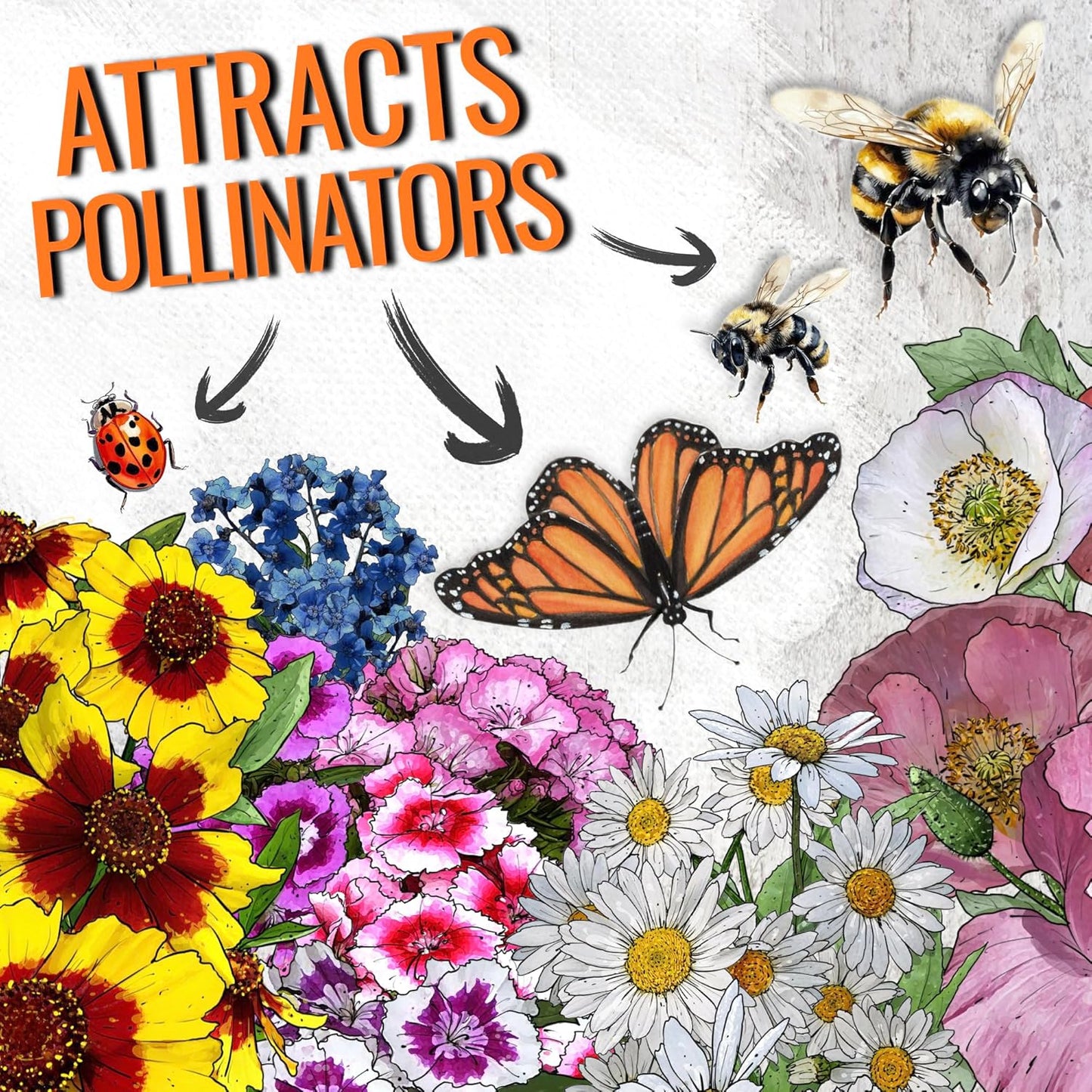 Seed Needs Partial Shade Wildflower Seed Mix for Planting | 10 Packs (1 Ounce Each) 14+ Varieties Open Pollinated Annual & Perennial Species | Flower Seeds Shade Tolerant | Bulk