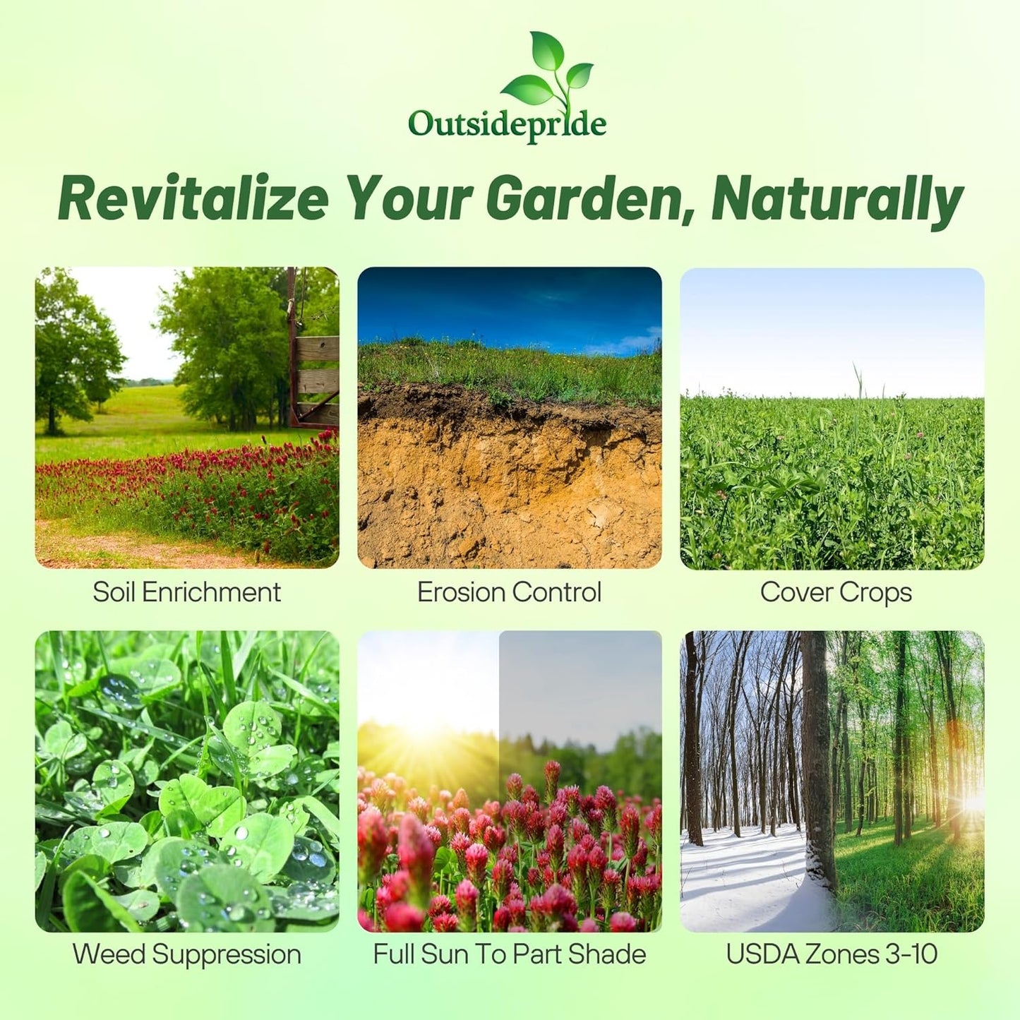 Outsidepride Gardenway Cover Crop Seeds - 5 lbs Nutrient-Rich Seed Mix for Soil Health Improvement & Home Gardens - Mixture of Triticale, Peas, Oats, Vetch, Annual Ryegrass, Crimson Clover