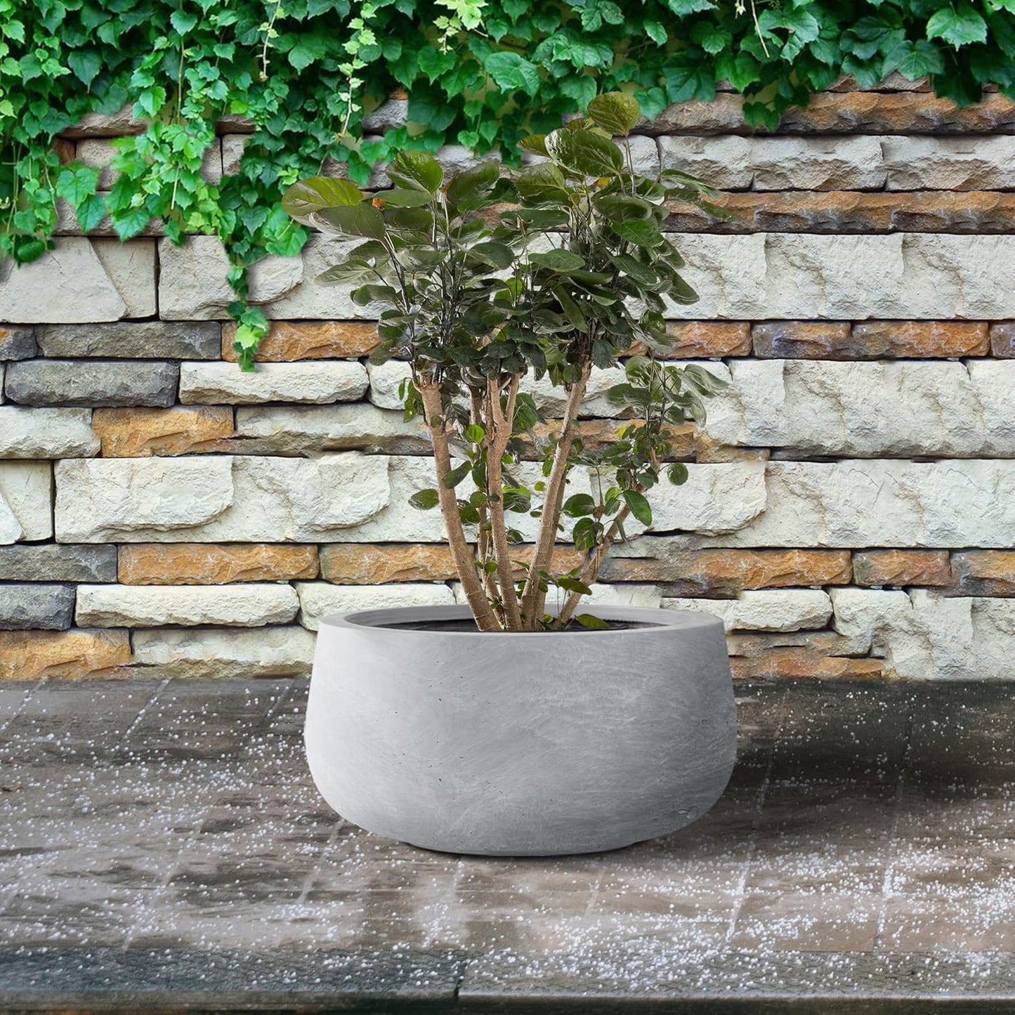 Kante 11.8" Dia Round Concrete Planter, Cement Plant Pots with Drainage Hole and Rubber Plug for Outdoor Indoor Garden Home, Modern Curvaceous Design, Gray