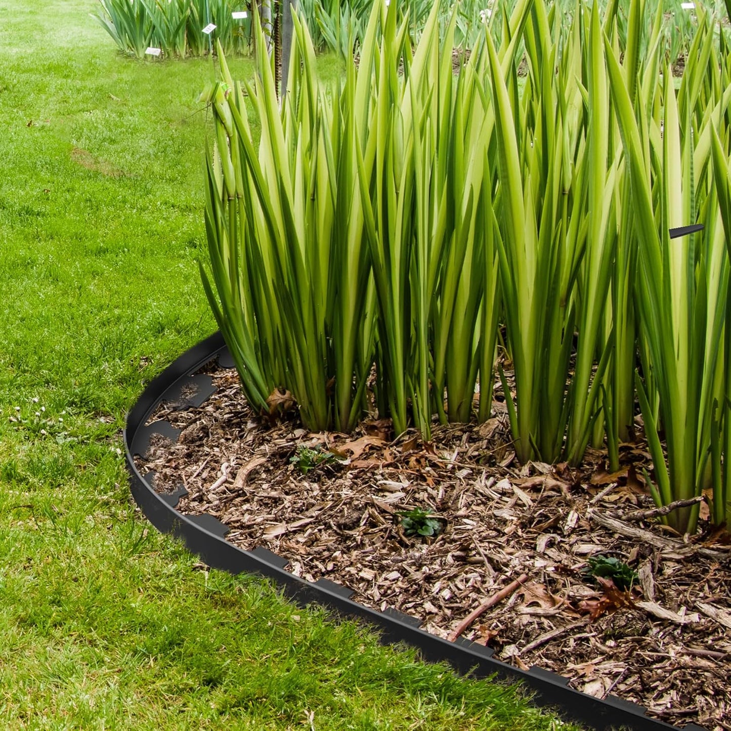 2" Tall 66ft No Dig Landscape Edging Border with 100PCS 8" Plastic Spikes & 6 PCS Connectors - Garden Lawn Edging Kit with a Shears for Landscaping, Lawn, Flower Beds and Yard