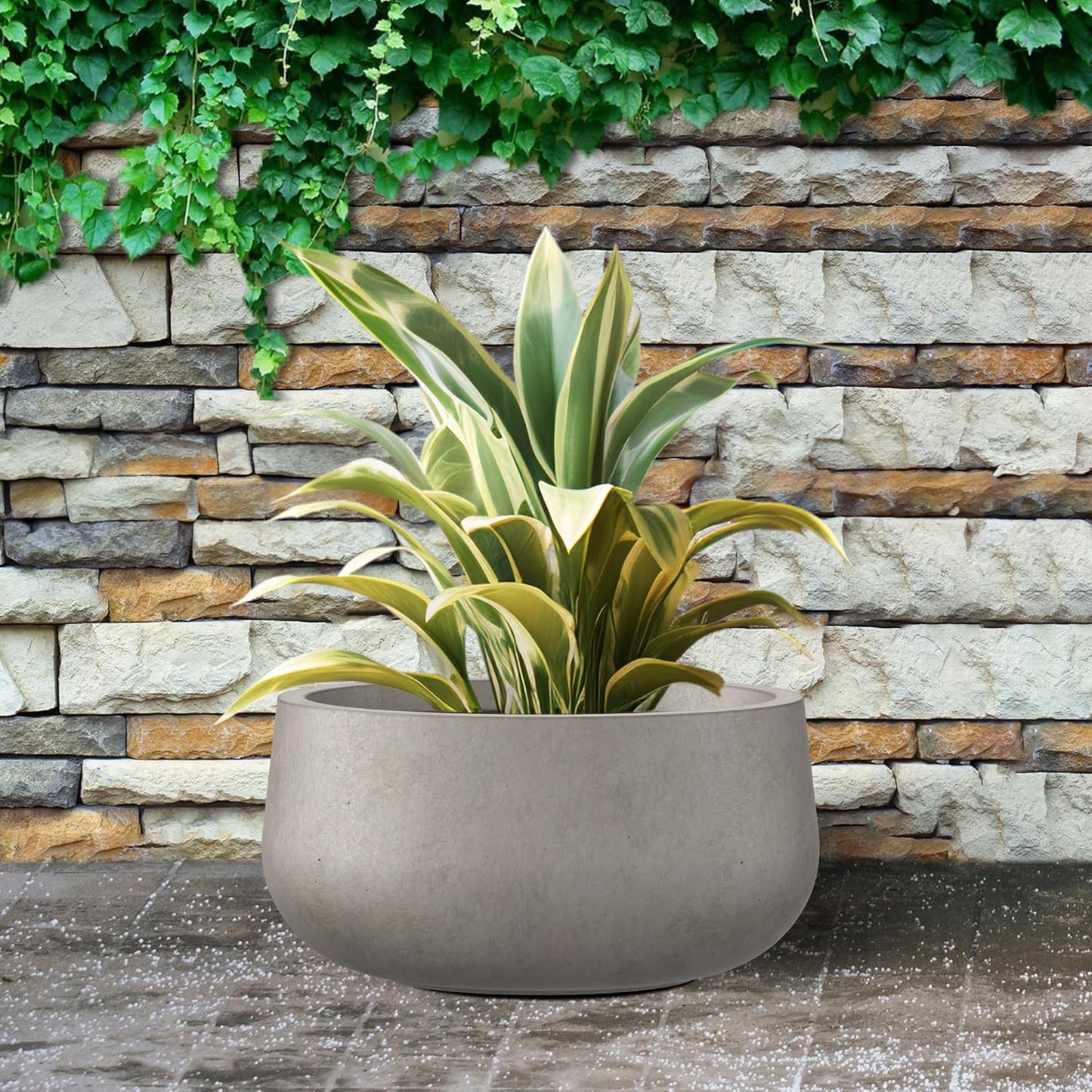 Kante 15.7" Dia Round Concrete Planter, Outdoor Indoor Garden Plant Pots with Drainage Hole and Rubber Plug, Modern Curvaceous Design, Weathered Concrete