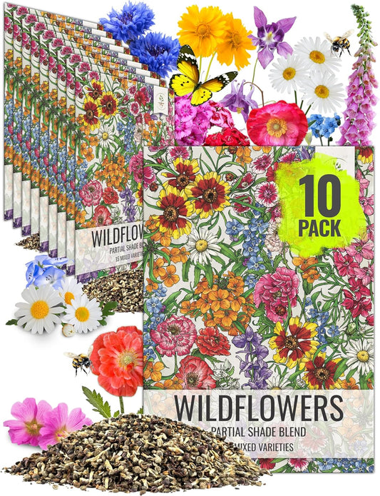Seed Needs Partial Shade Wildflower Seed Mix for Planting | 10 Packs (1 Ounce Each) 14+ Varieties Open Pollinated Annual & Perennial Species | Flower Seeds Shade Tolerant | Bulk