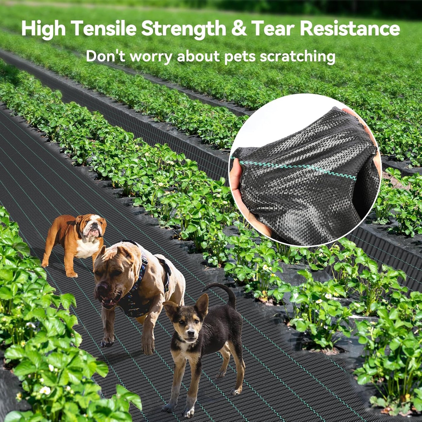 3ftx50ft Weed Barrier Landscape 3.2oz Fabric Heavy Duty, Woven Weed Control Cloth, Woven Geotextile Fabric for Underlayment, Gardening Ground, Commercial Driveway Weed Block Cover Mat