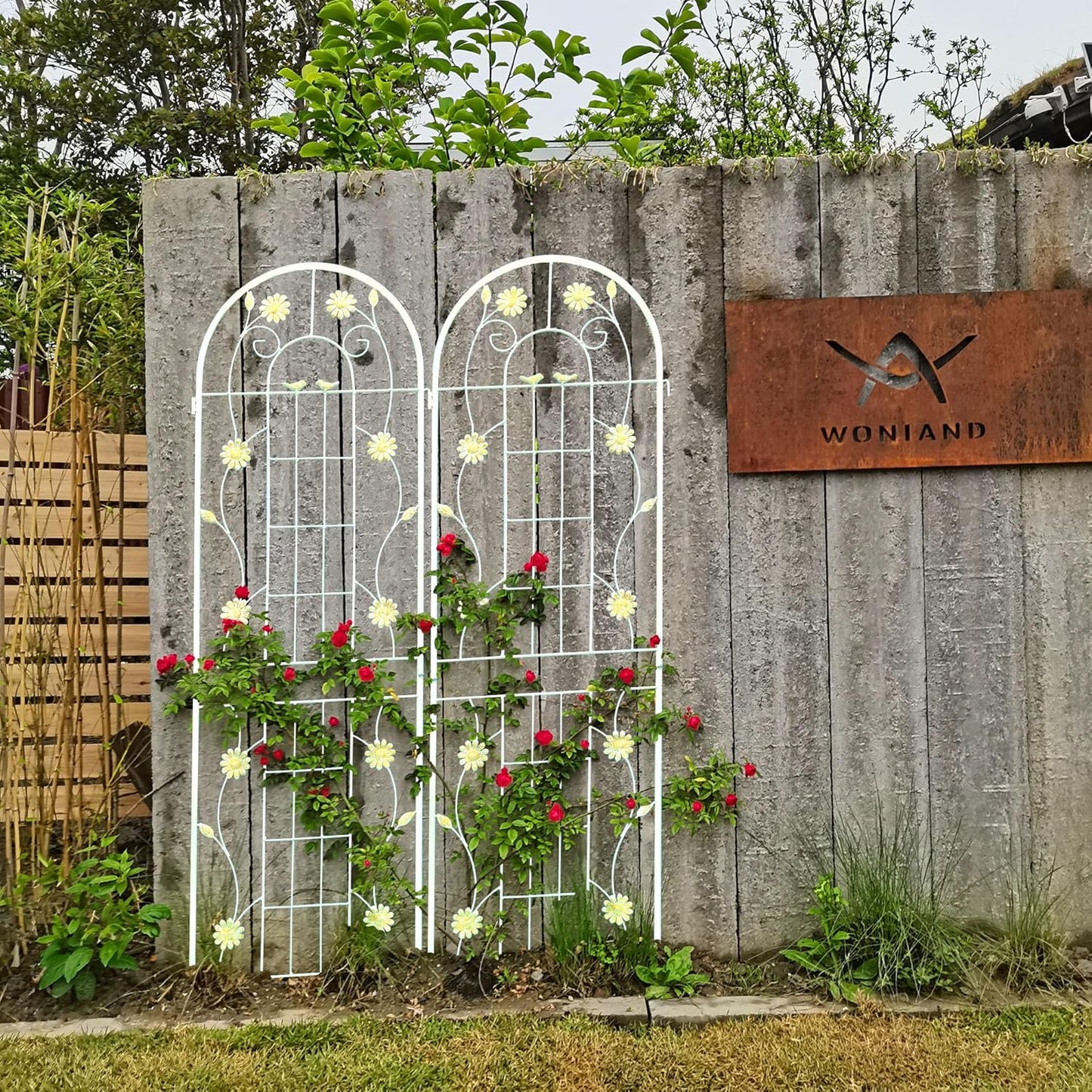 2 Pack Metal Garden Trellis for Climbing Plants 71" H Cream White Garden Fence Rustproof Trellis Support Roses Flower Outdoor Lawn, Cream White