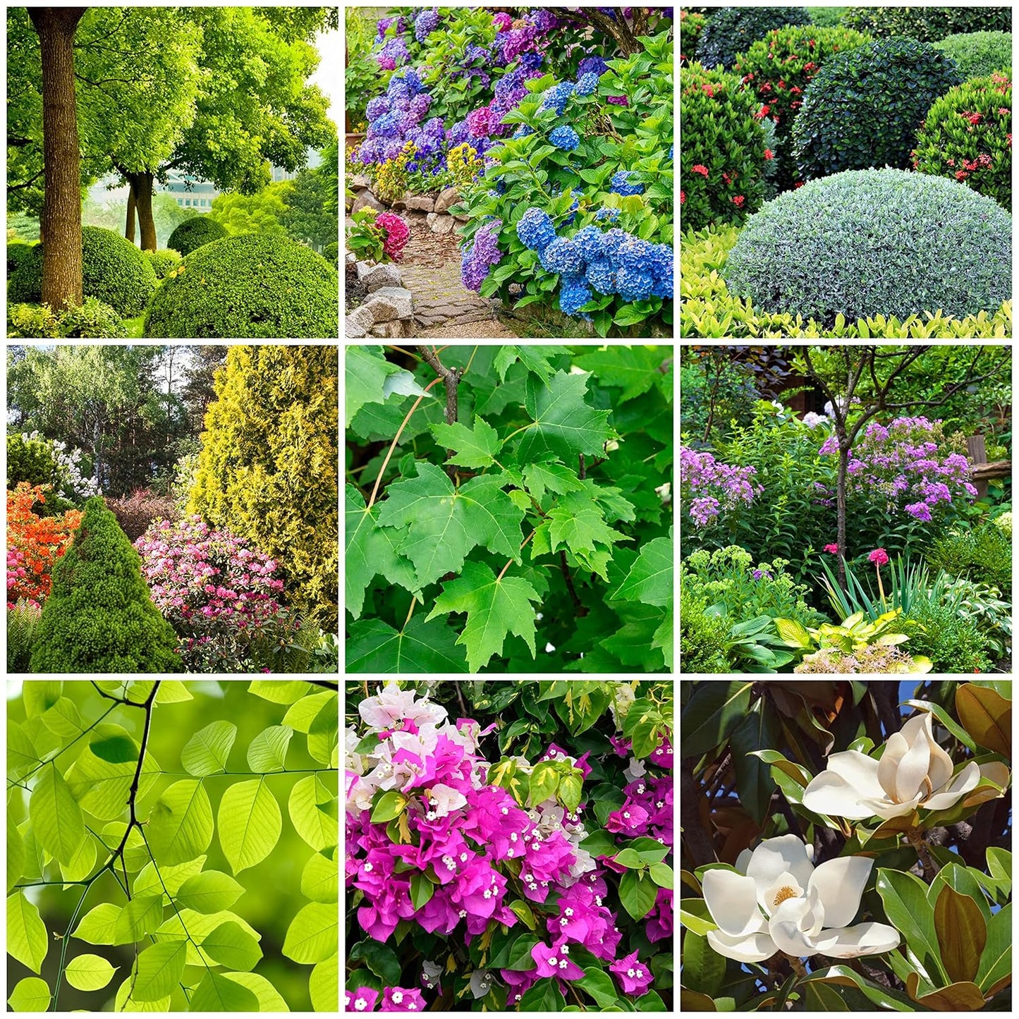 The Old Farmer's Almanac Tree & Shrub Fertilizer Spikes (Box of 12 Spikes - 3 Lbs)