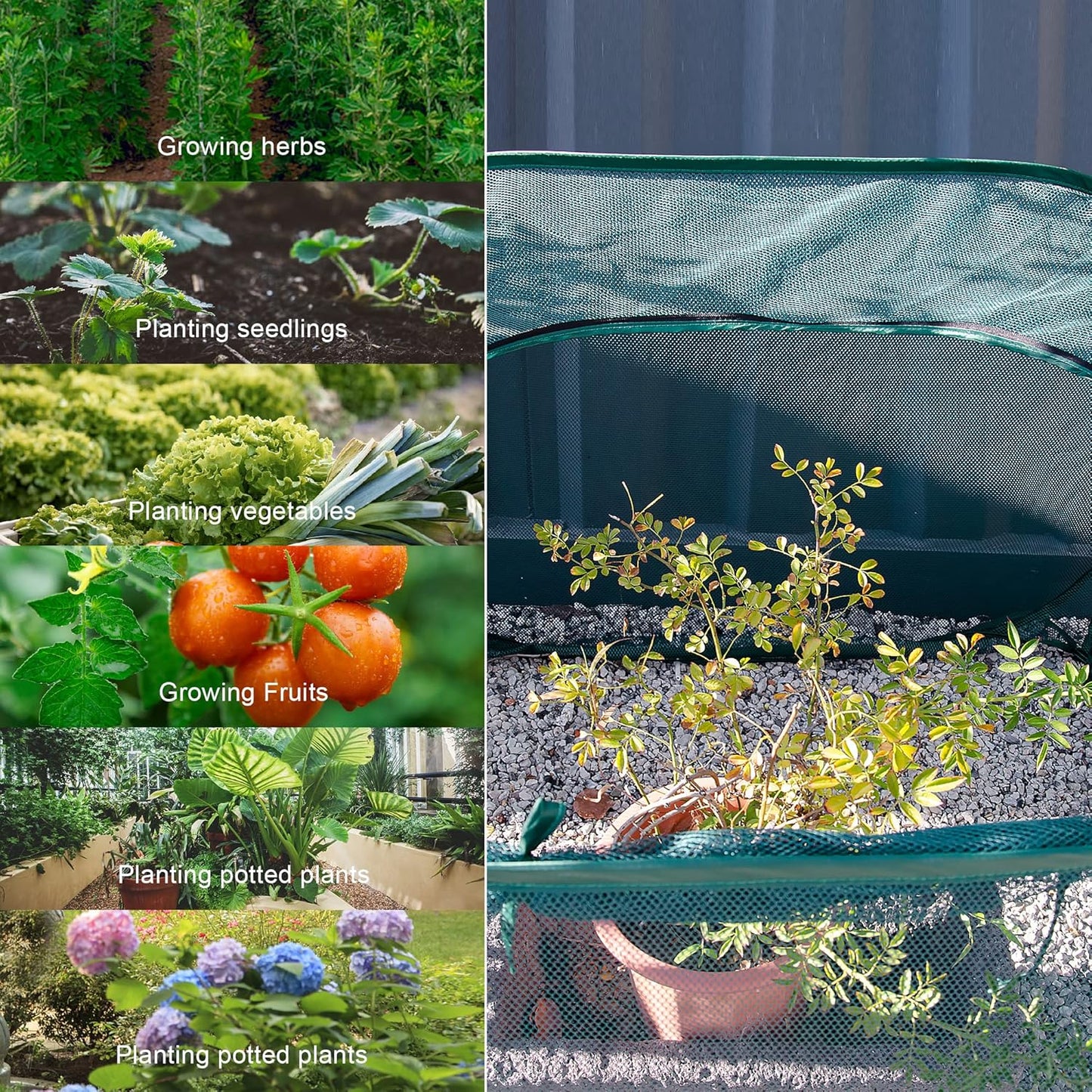 2 Pack Pop Up Mesh Plant Cover, Plant Protector for Raised Garden & Flower Bed, Net Cage Plant Guard for Fruits, Vegetables, Seedlings and Herbs, 8 Ground Stakes for Fixing.