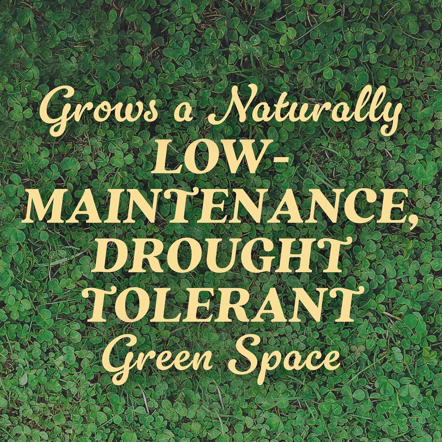 O.M. Scott and Sons Clover Seed, Lawn Seed Grows a Naturally Low Maintenance, Drought-Tolerant Lawn, 1,000 sq. ft., 2 lb., 2-Pack